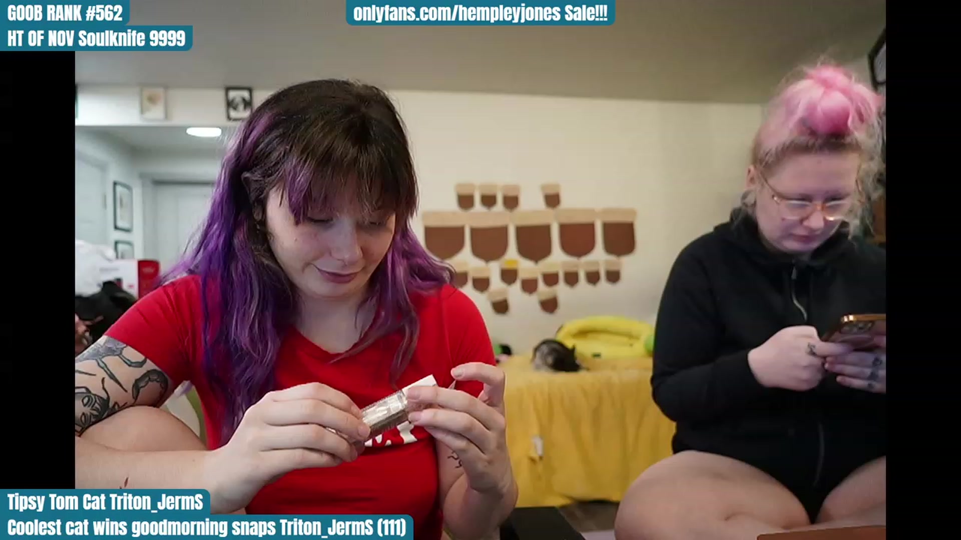 Gallery image thumbnail from Hempley's myfreecams stream on, 11/28/2023, 24:00 image 20 of 20