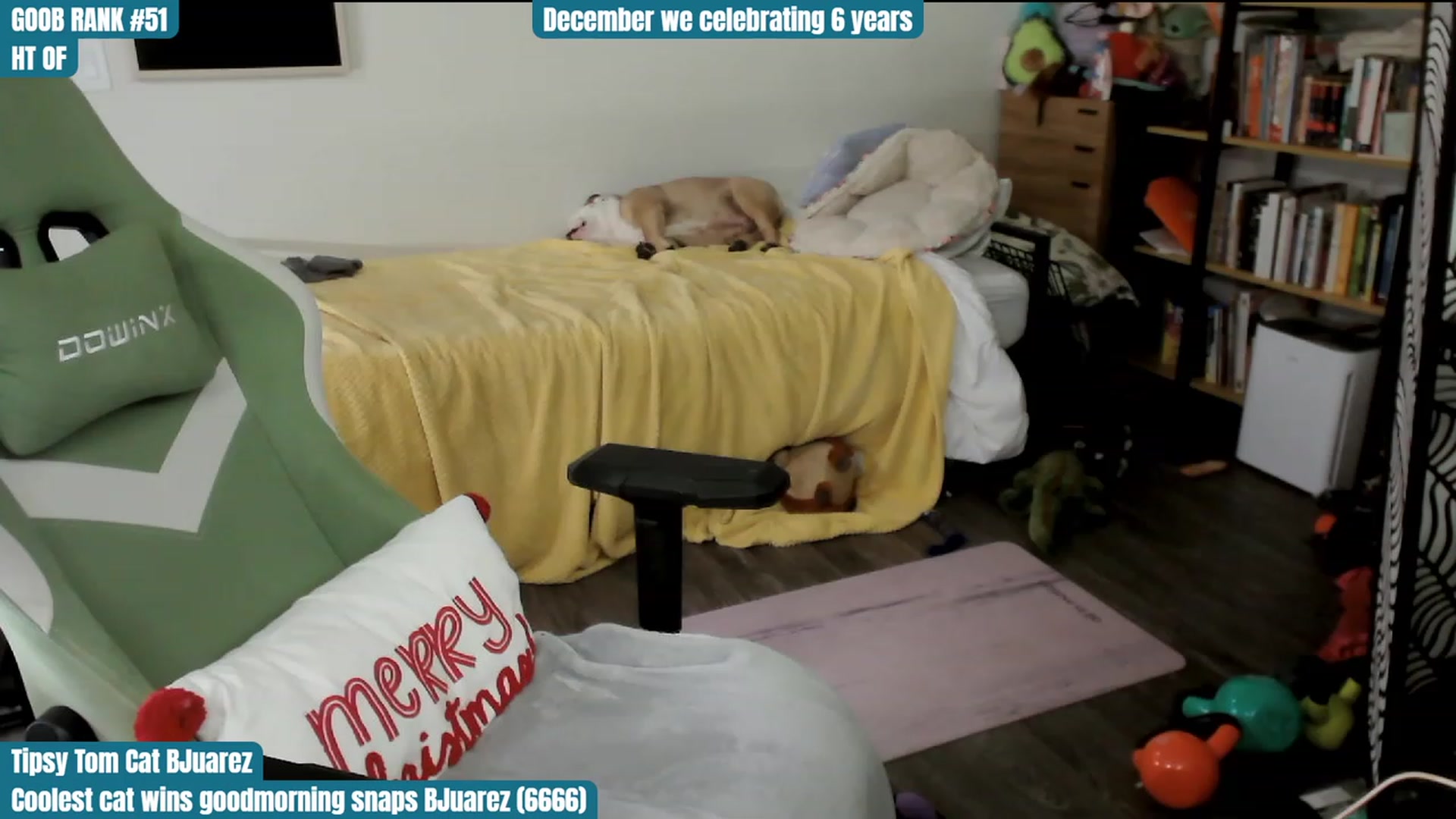 Gallery image thumbnail from Hempley's myfreecams stream on, 12/02/2023, 02:20 image 11 of 20
