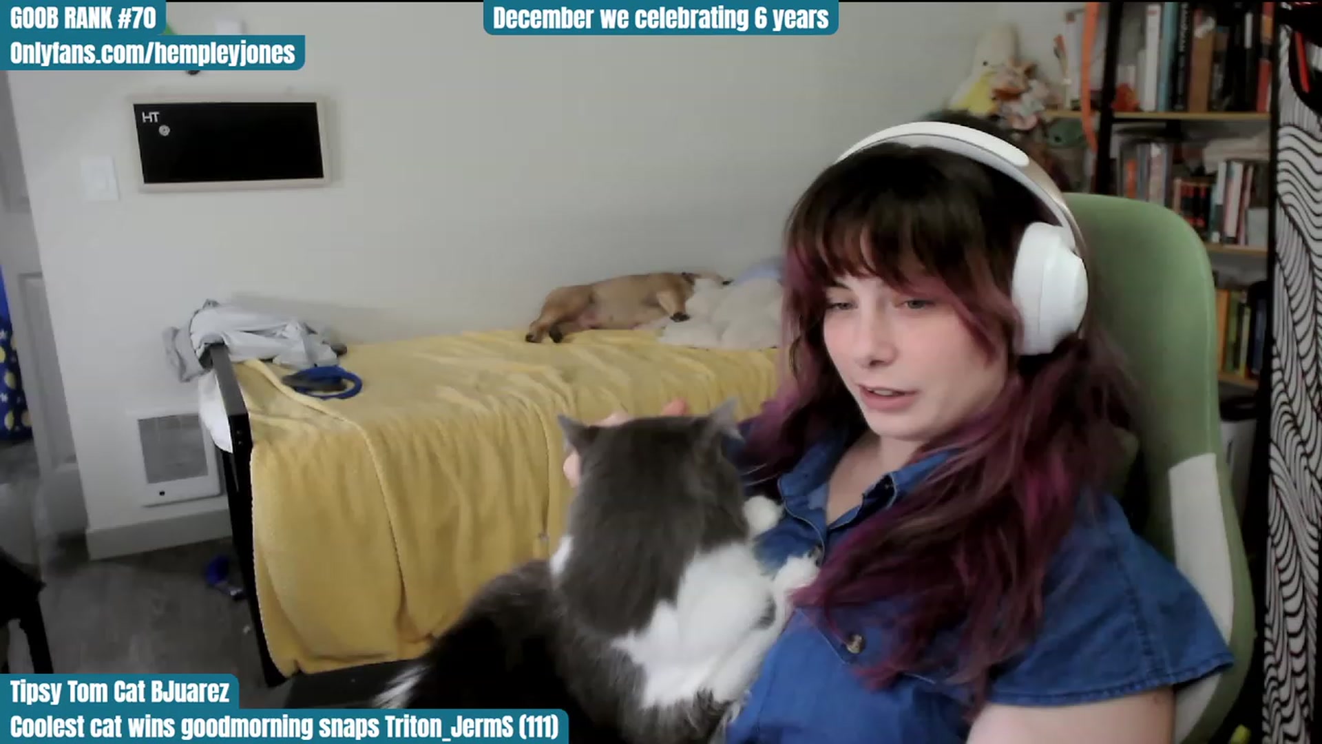 Gallery image thumbnail from Hempley's myfreecams stream on, 12/03/2023, 24:02 image 9 of 20