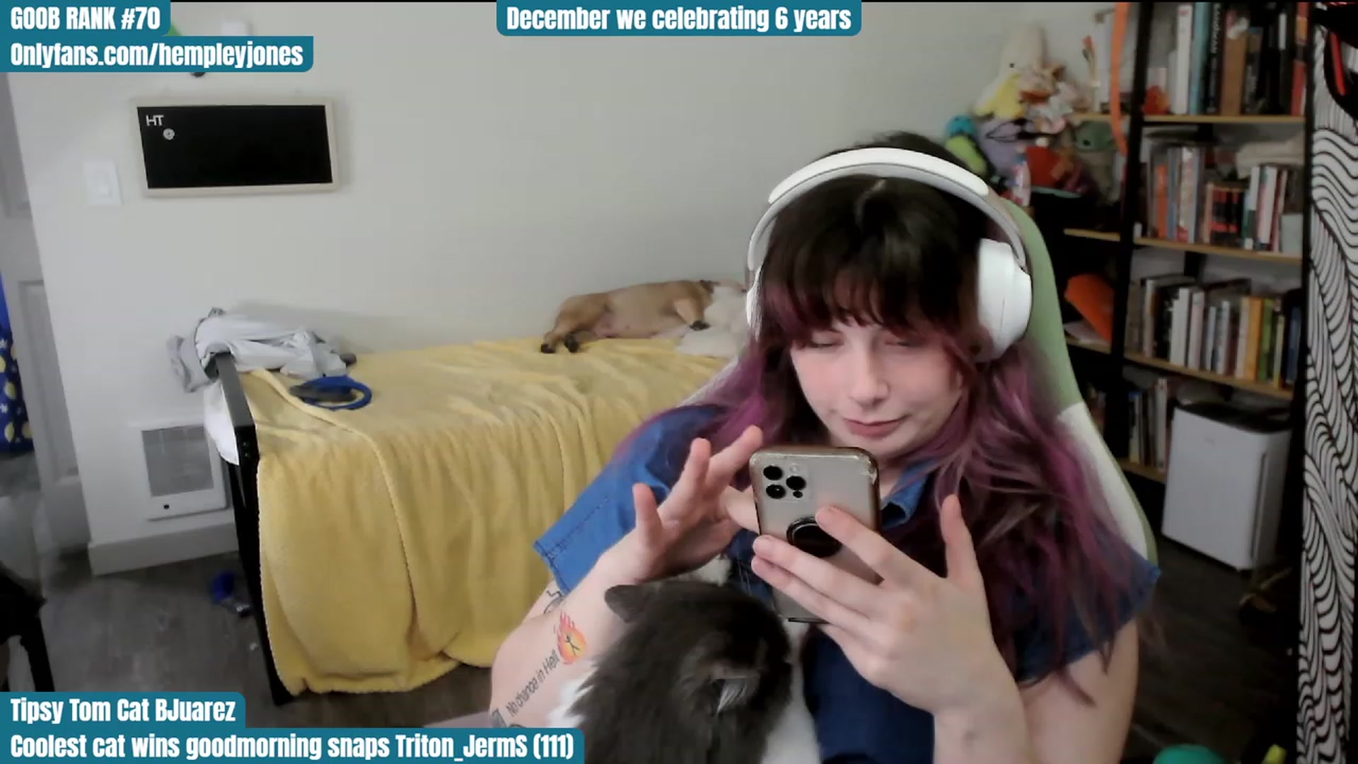 Gallery image thumbnail from Hempley's myfreecams stream on, 12/03/2023, 24:02 image 11 of 20