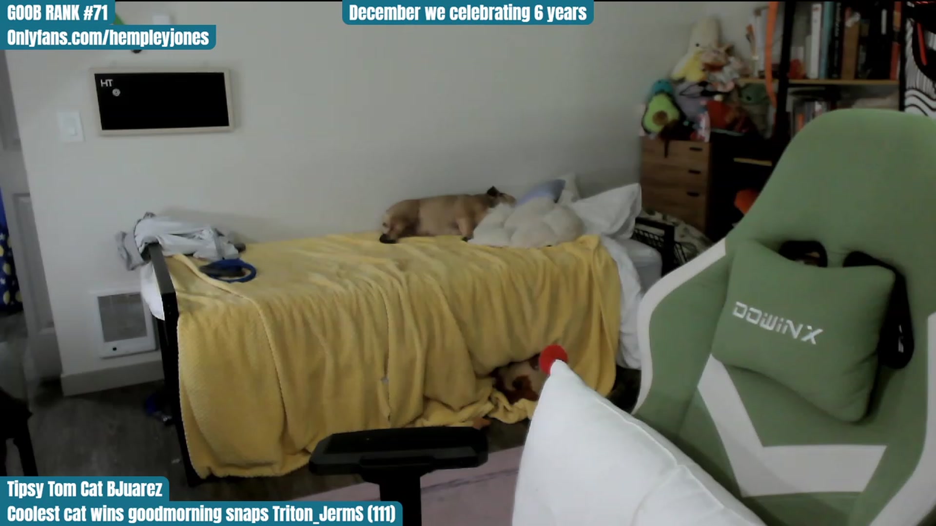 Gallery image thumbnail from Hempley's myfreecams stream on, 12/03/2023, 01:24 image 8 of 20