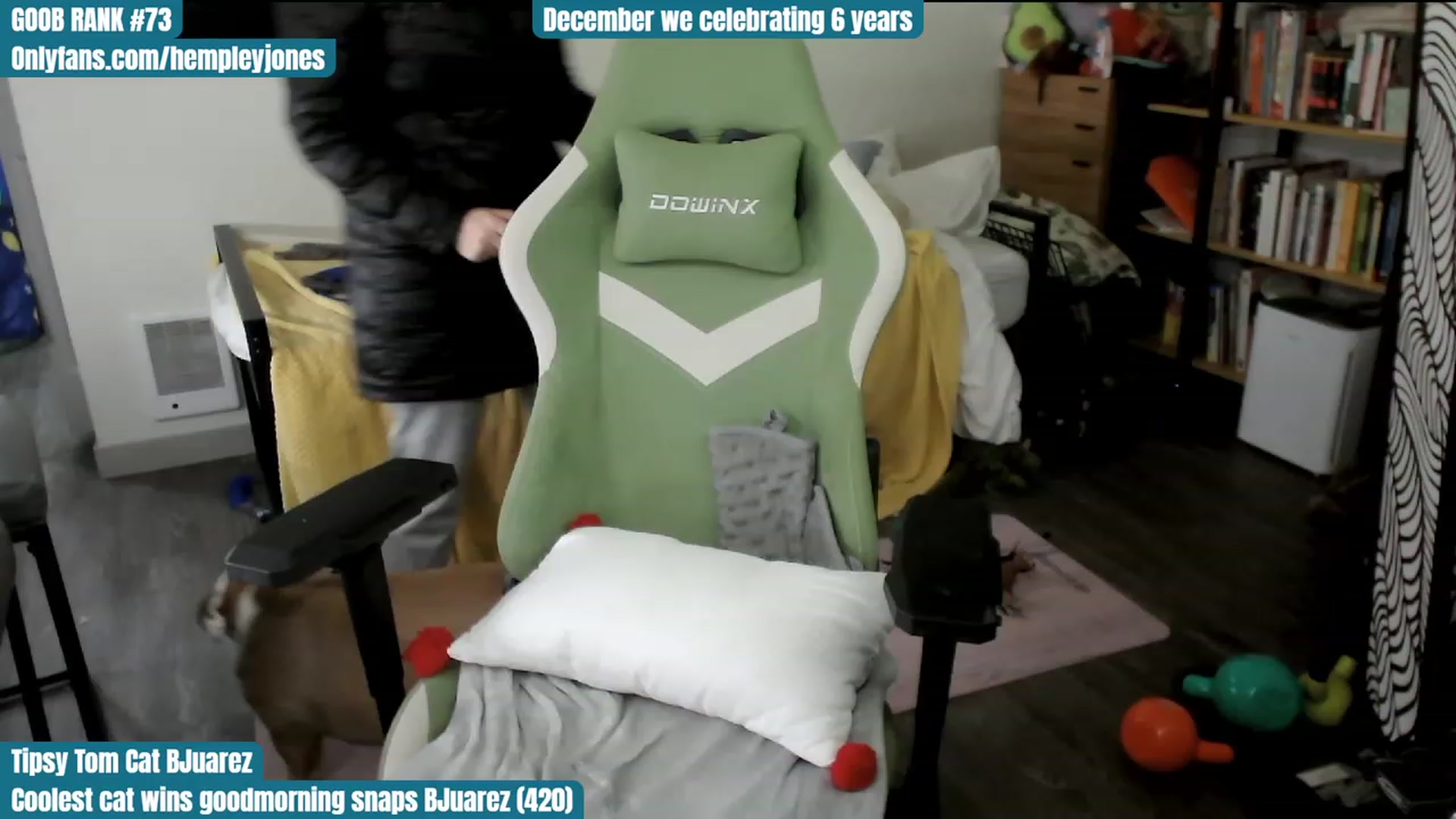 Gallery image thumbnail from Hempley's myfreecams stream on, 12/03/2023, 04:59 image 2 of 20