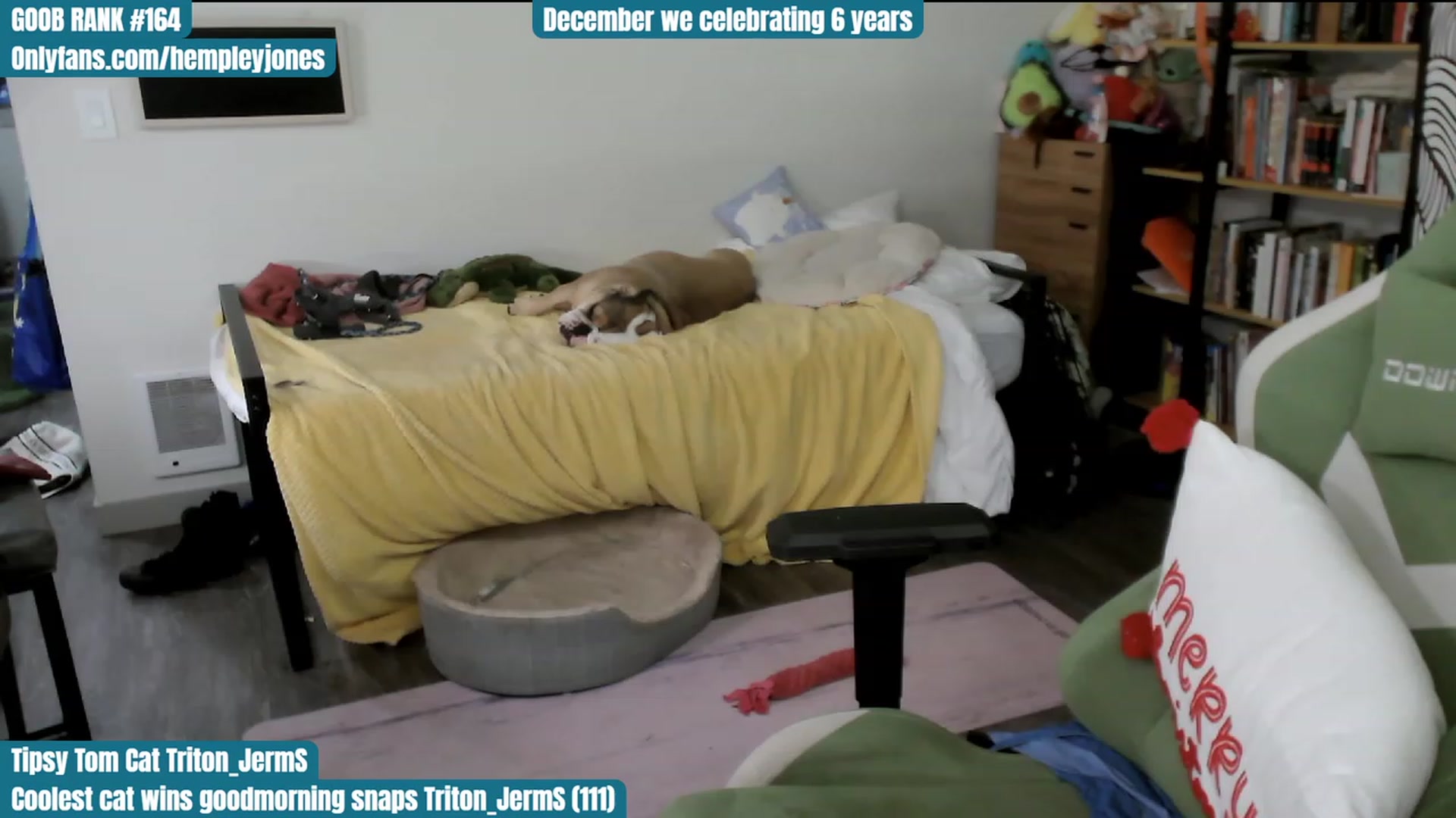 Gallery image thumbnail from Hempley's myfreecams stream on, 12/05/2023, 24:41 image 5 of 20