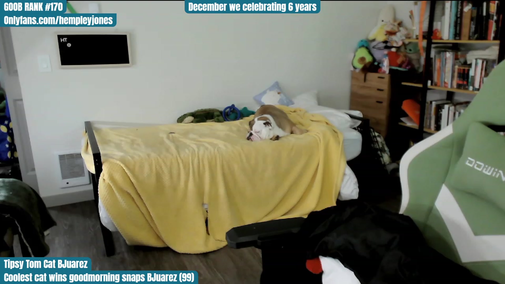 Gallery image thumbnail from Hempley's myfreecams stream on, 12/06/2023, 05:21 image 20 of 20