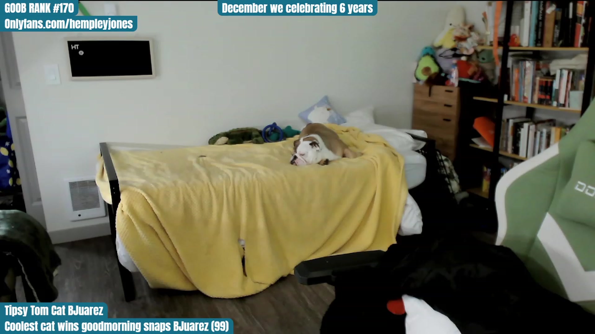 Gallery image thumbnail from Hempley's myfreecams stream on, 12/06/2023, 05:21 image 19 of 20