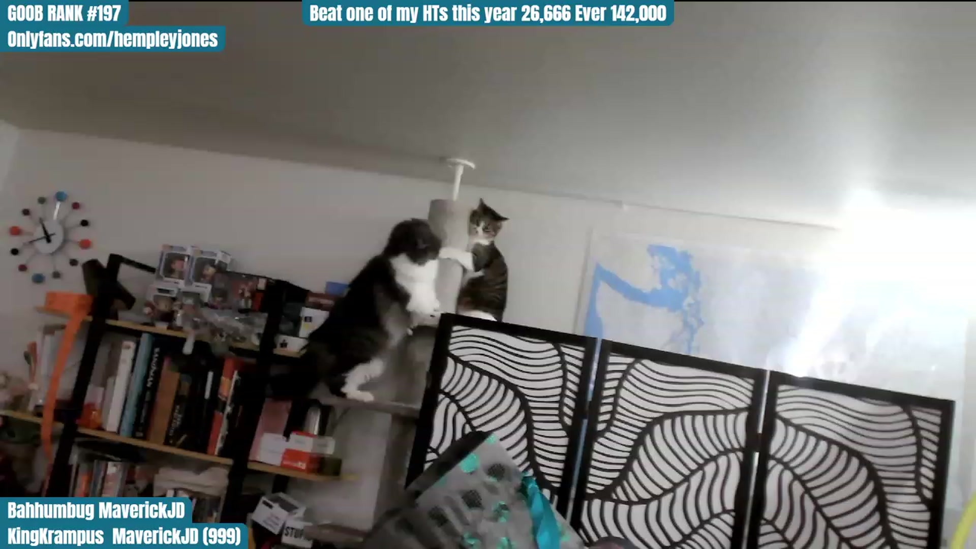 Gallery image thumbnail from Hempley's myfreecams stream on, 12/23/2023, 06:12 image 17 of 20