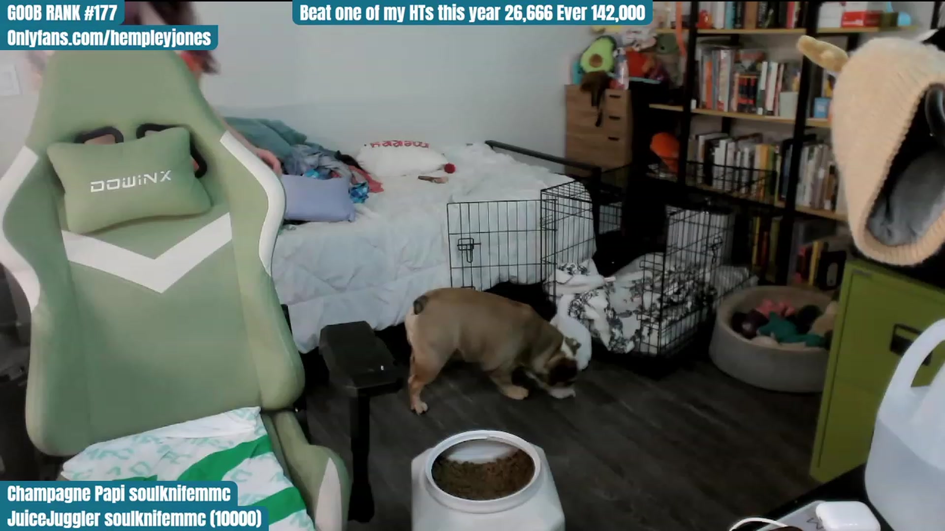 Gallery image thumbnail from Hempley's myfreecams stream on, 01/01/2024, 05:36 image 6 of 20