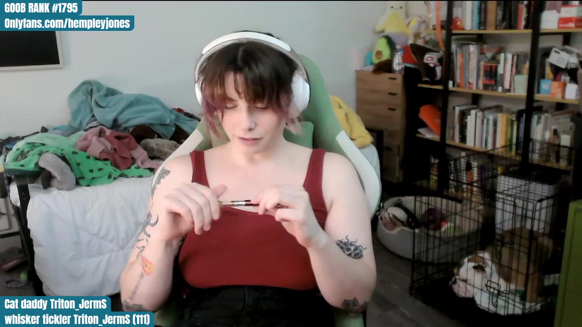 Gallery image thumbnail from Hempley's myfreecams stream on, 01/09/2024, 02:40 image 11 of 20