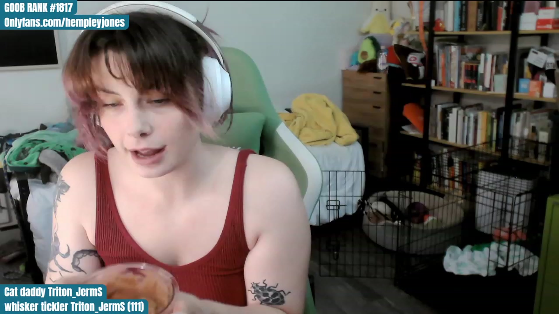 Gallery image thumbnail from Hempley's myfreecams stream on, 01/09/2024, 02:40 image 2 of 20
