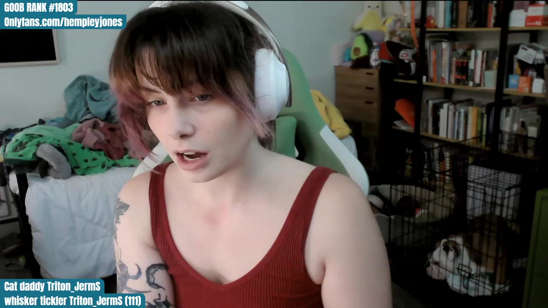 Gallery image thumbnail from Hempley's myfreecams stream on, 01/09/2024, 02:40 image 10 of 20
