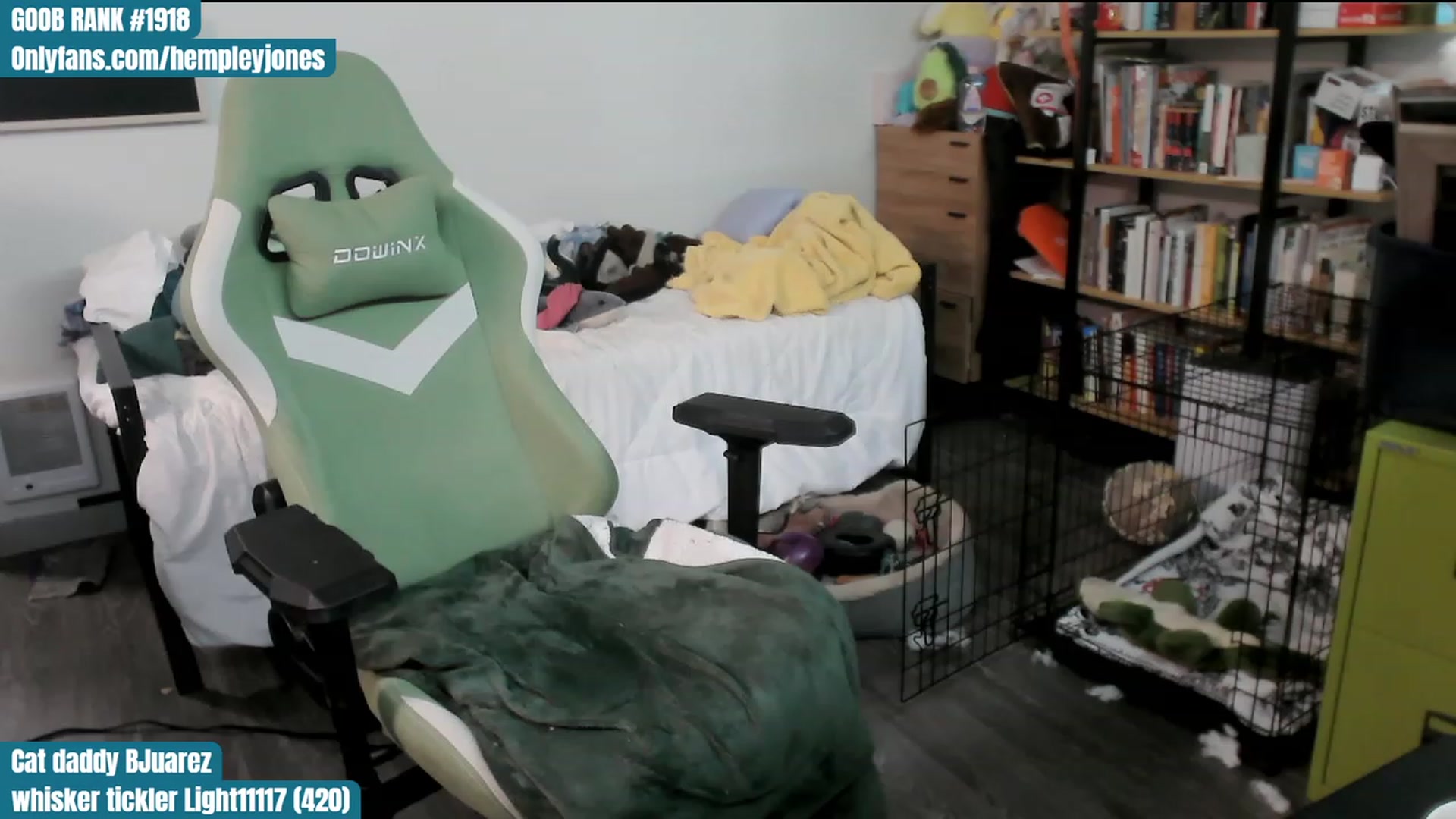Gallery image thumbnail from Hempley's myfreecams stream on, 01/12/2024, 02:54 image 15 of 20