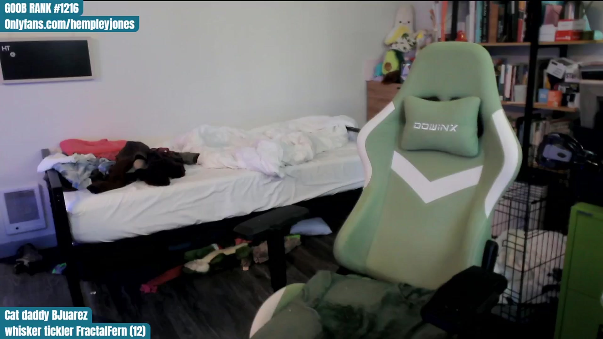 Gallery image thumbnail from Hempley's myfreecams stream on, 01/21/2024, 24:01 image 3 of 20