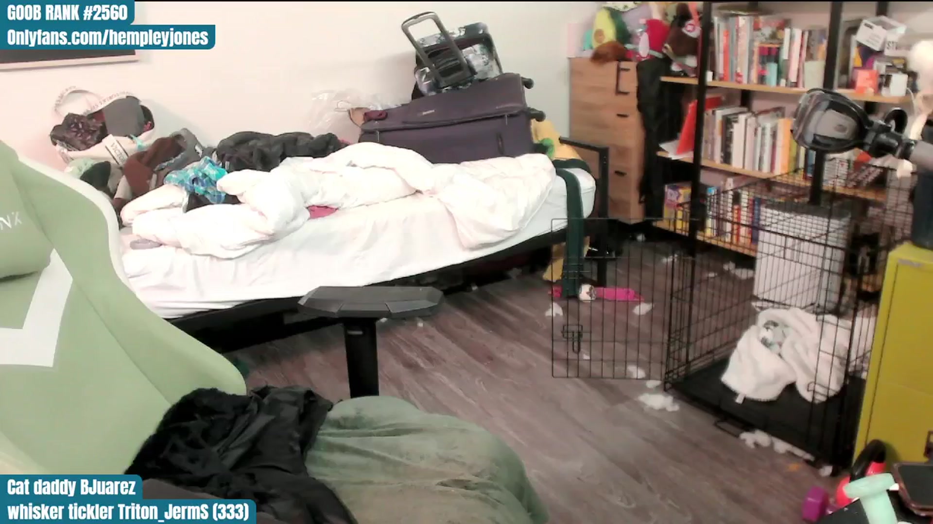 Gallery image thumbnail from Hempley's myfreecams stream on, 02/11/2024, 03:11 image 10 of 20