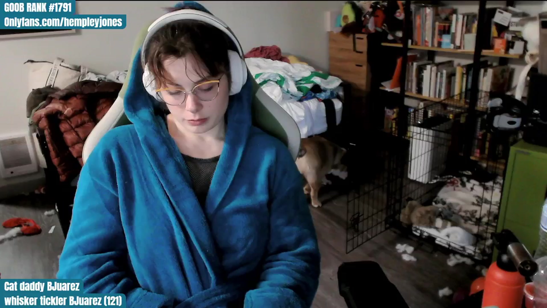 Gallery image thumbnail from Hempley's myfreecams stream on, 02/18/2024, 01:00 image 18 of 20