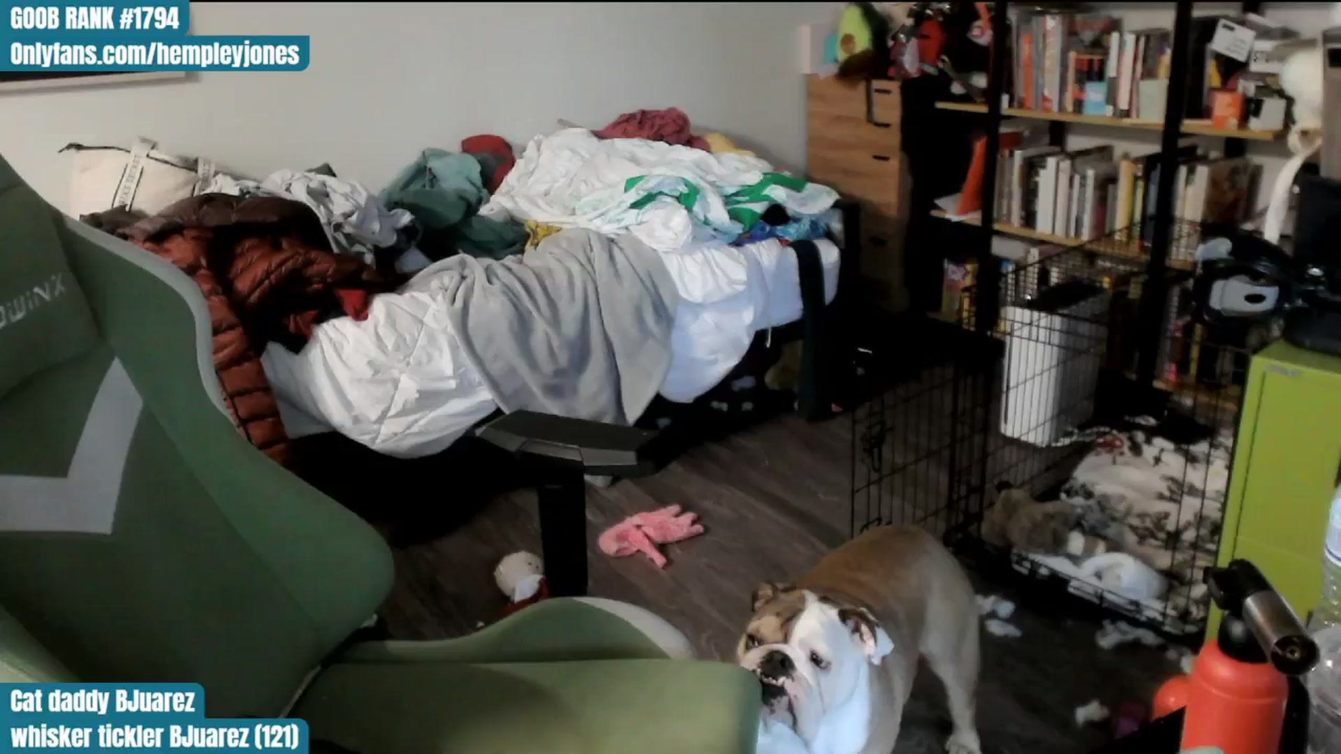 Gallery image thumbnail from Hempley's myfreecams stream on, 02/18/2024, 01:00 image 5 of 20