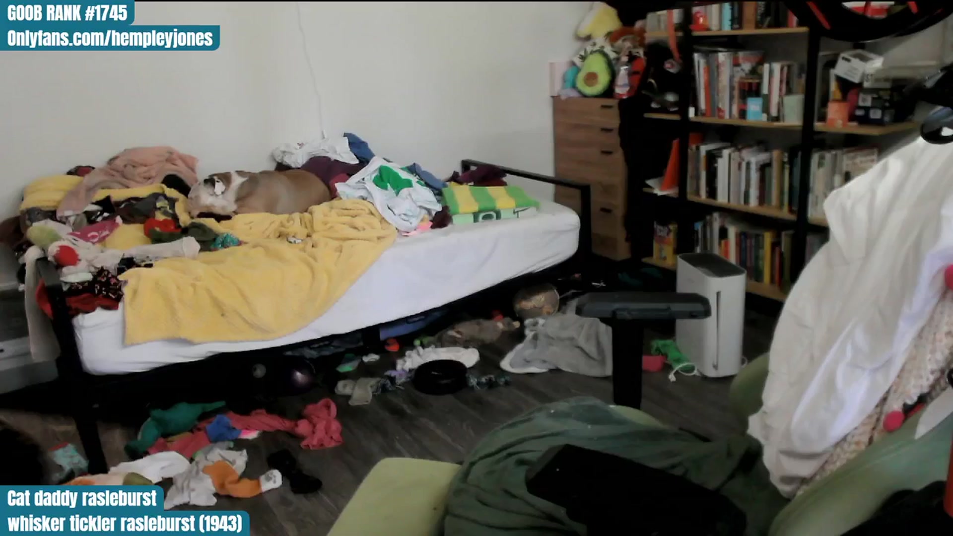 Gallery image thumbnail from Hempley's myfreecams stream on, 03/14/2024, 23:49 image 3 of 20