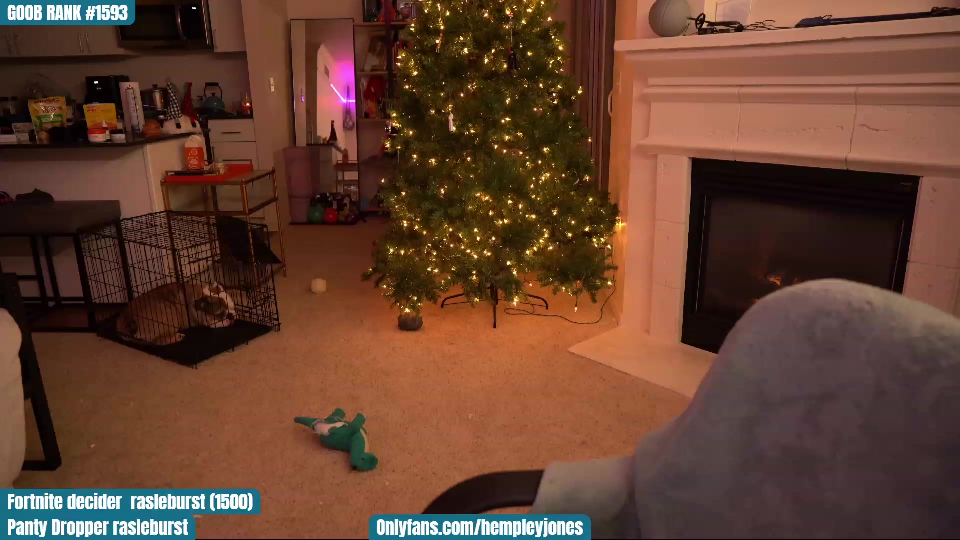 Gallery image thumbnail from Hempleyjones's myfreecams stream on, 12/01/2022, 01:33 image 7 of 20