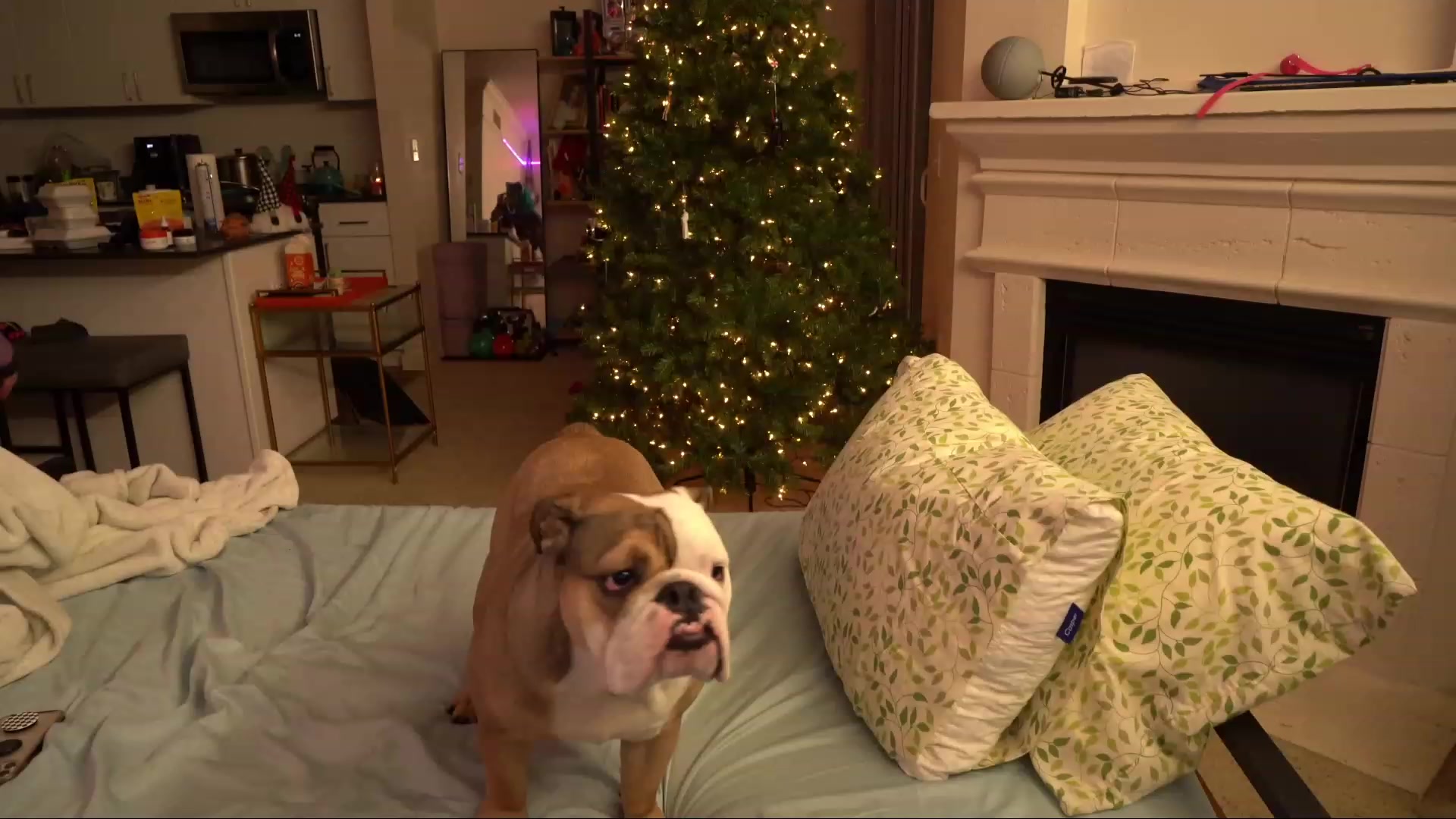 Gallery image thumbnail from Hempleyjones's myfreecams stream on, 12/01/2022, 03:19 image 6 of 20
