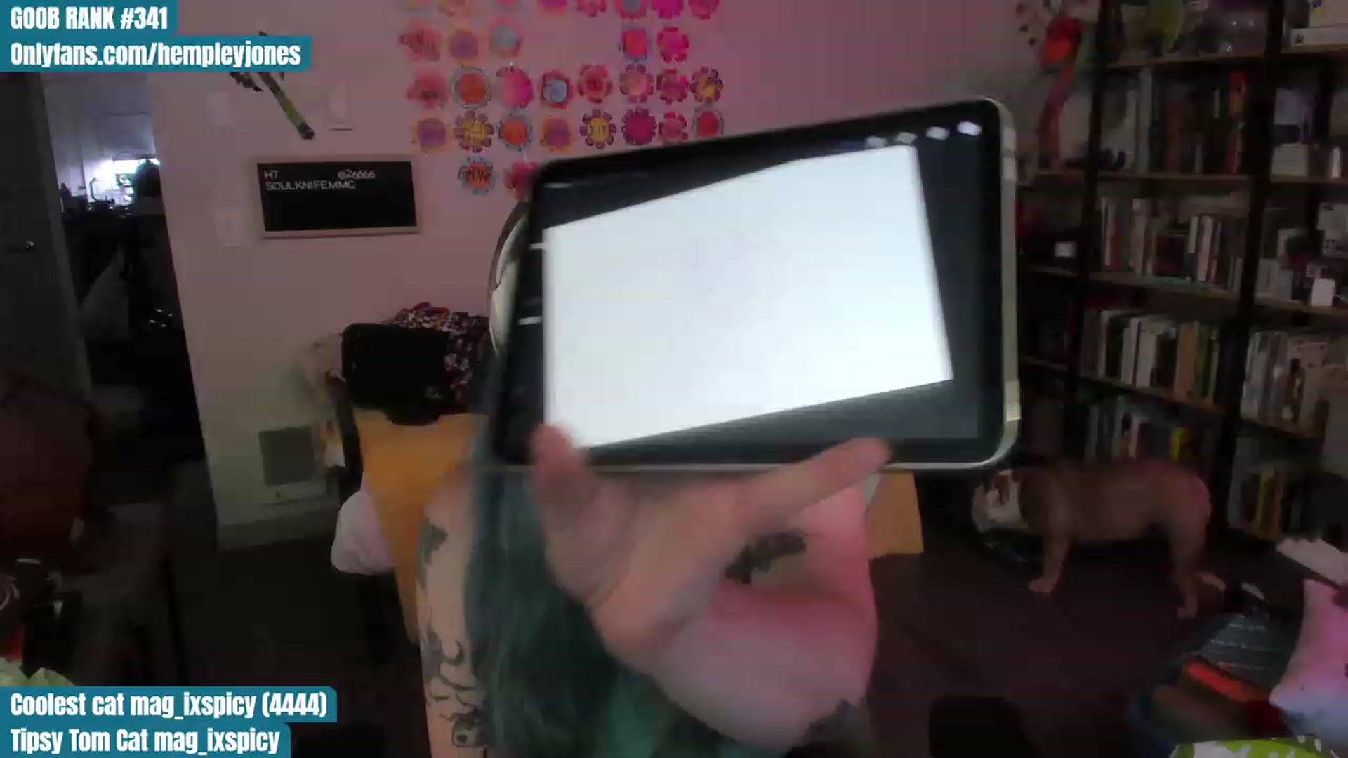 Gallery image thumbnail from Hempleyjones's myfreecams stream on, 07/22/2023, 24:00 image 15 of 20