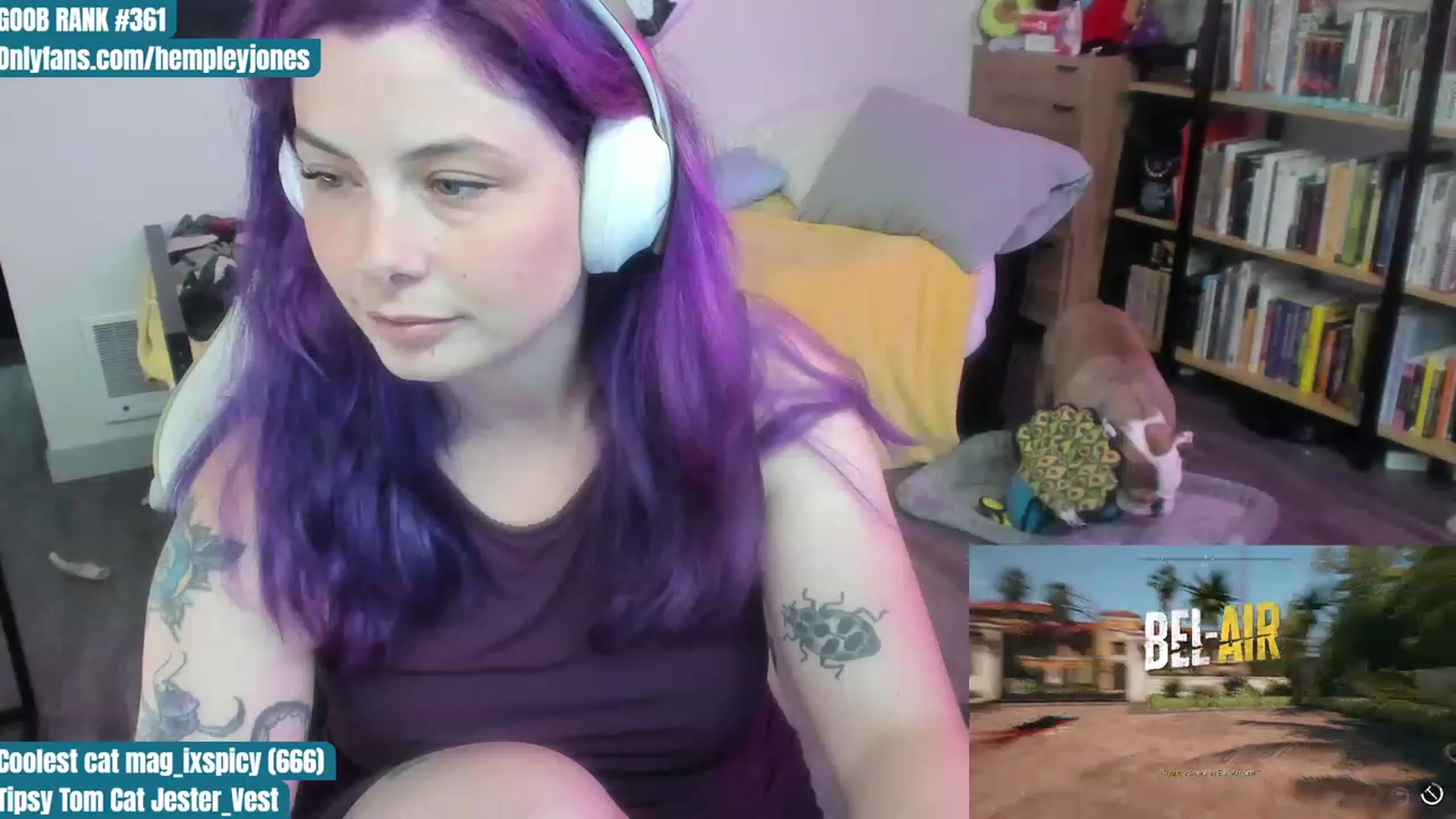 Gallery image thumbnail from Hempleyjones's myfreecams stream on, 07/26/2023, 01:02 image 17 of 20