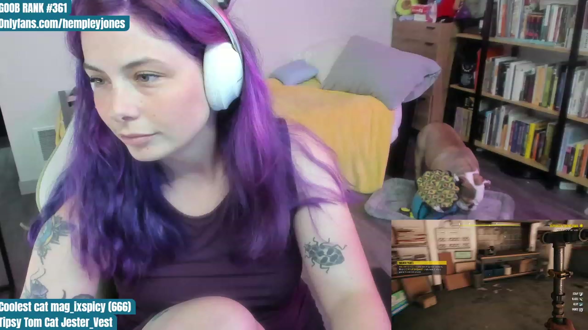 Gallery image thumbnail from Hempleyjones's myfreecams stream on, 07/26/2023, 02:06 image 2 of 20