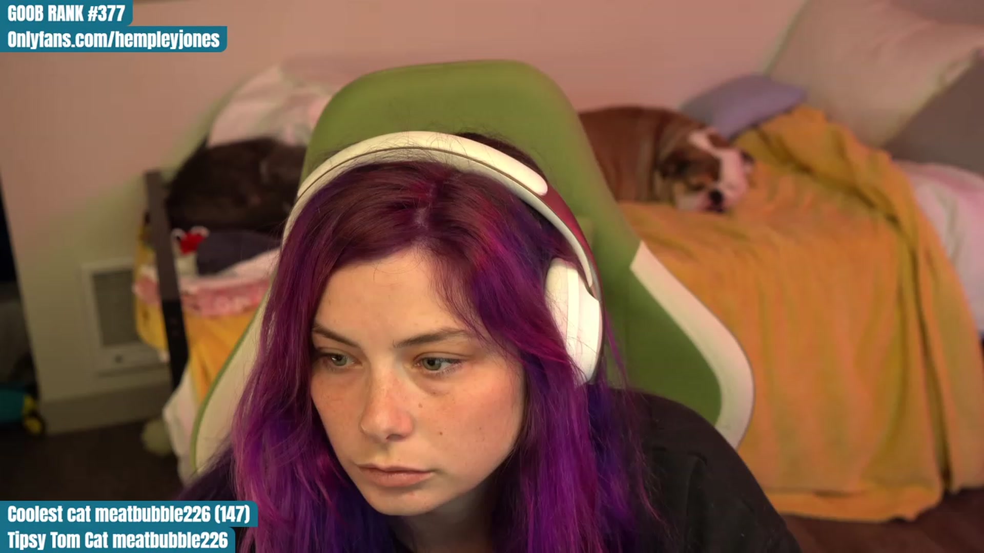 Gallery image thumbnail from Hempleyjones's myfreecams stream on, 07/27/2023, 24:04 image 11 of 20