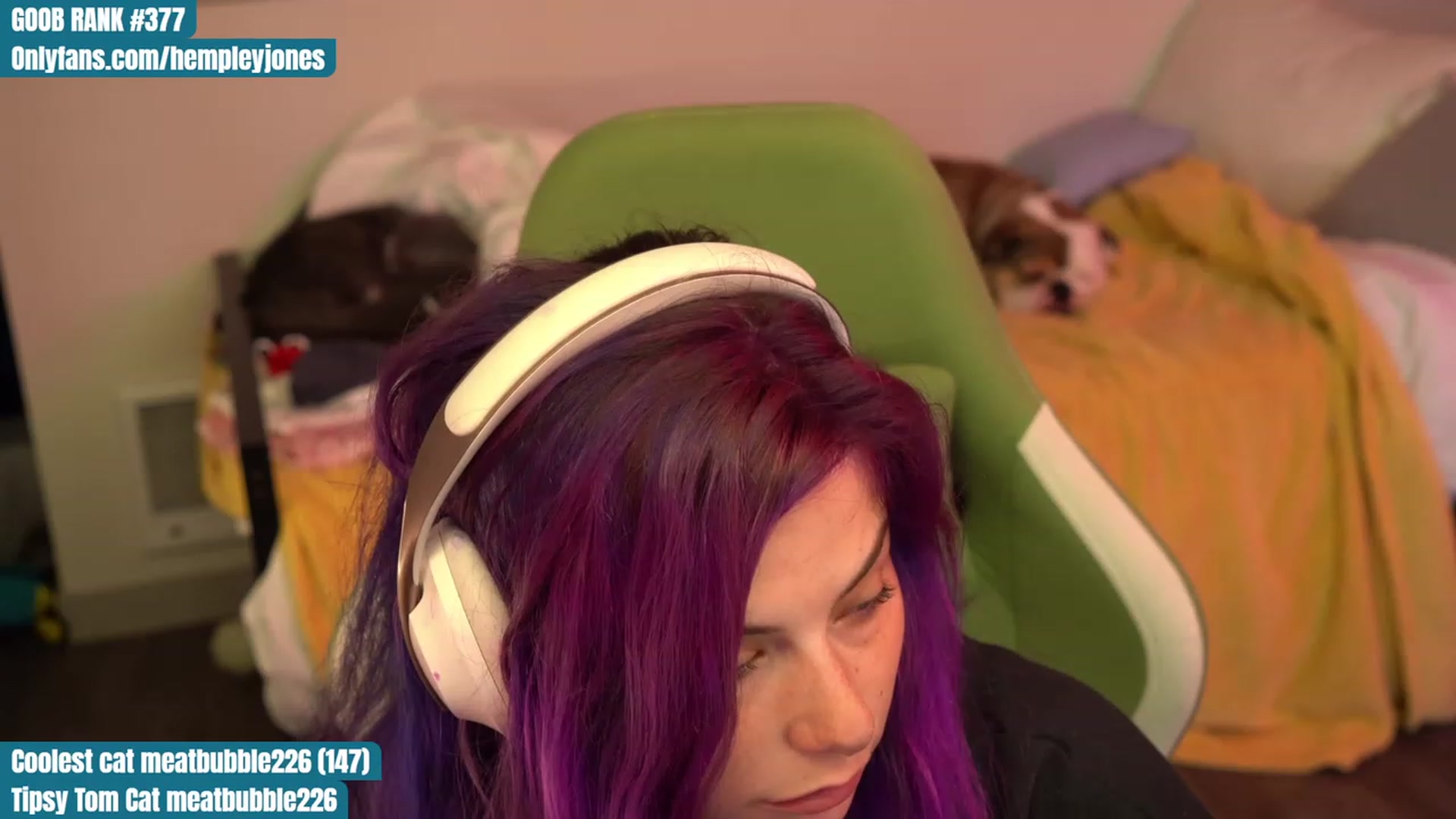Gallery image thumbnail from Hempleyjones's myfreecams stream on, 07/27/2023, 24:04 image 13 of 20
