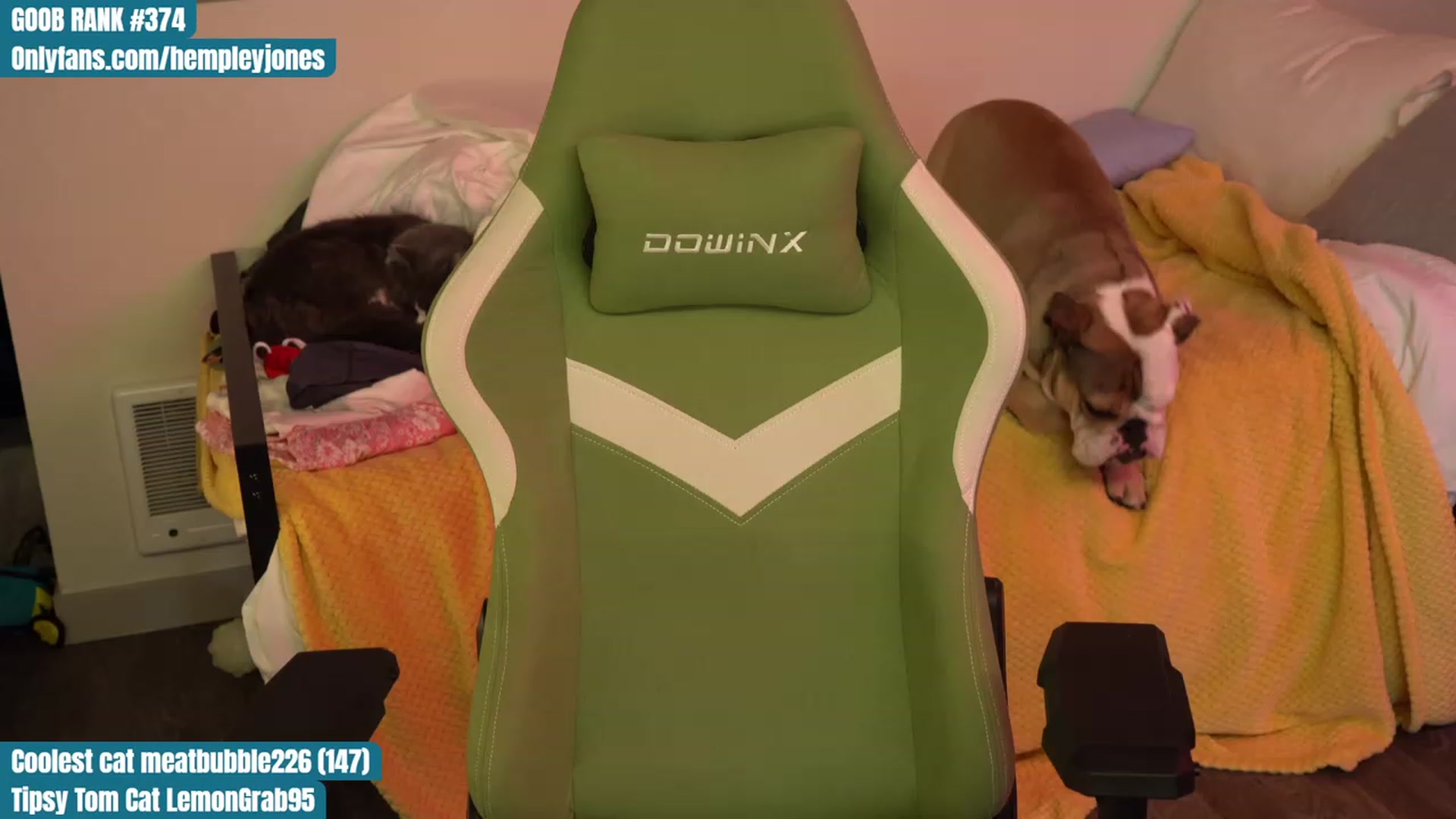 Gallery image thumbnail from Hempleyjones's myfreecams stream on, 07/27/2023, 24:25 image 1 of 20