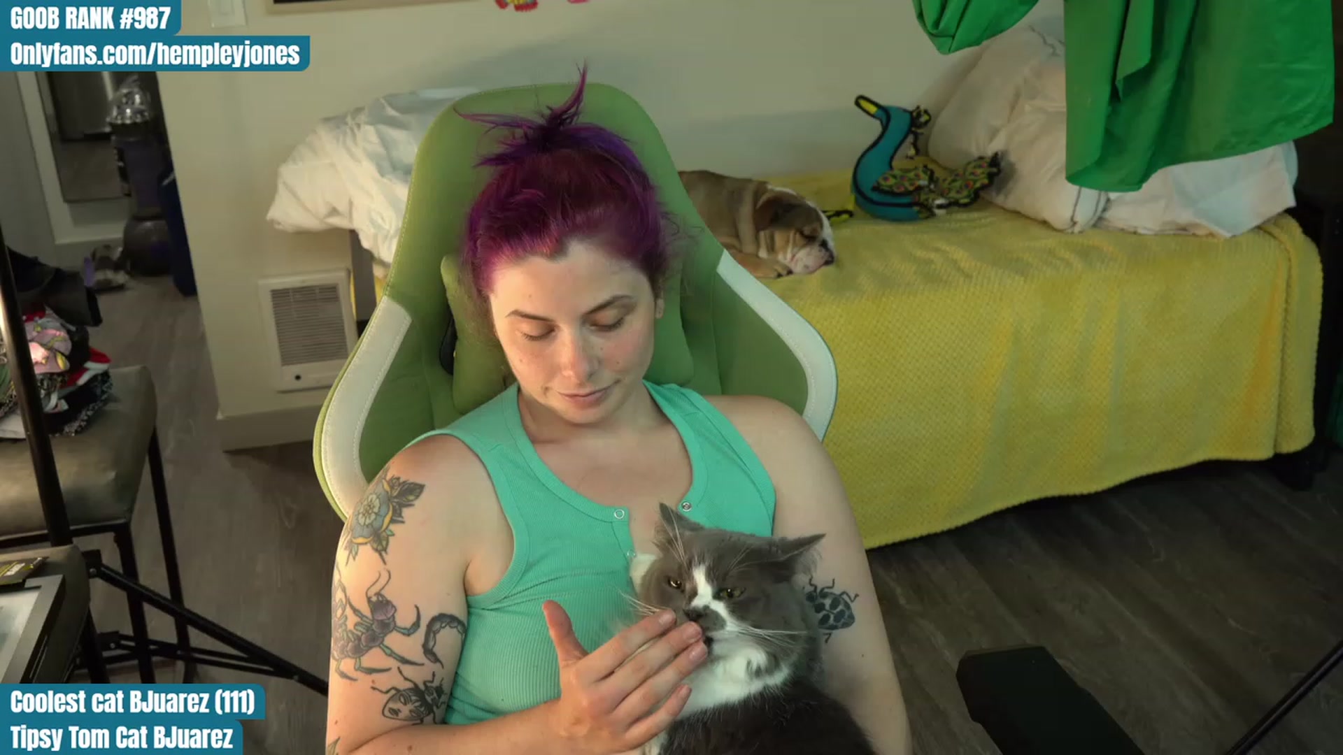 Gallery image thumbnail from Hempleyjones's myfreecams stream on, 08/04/2023, 24:02 image 16 of 20