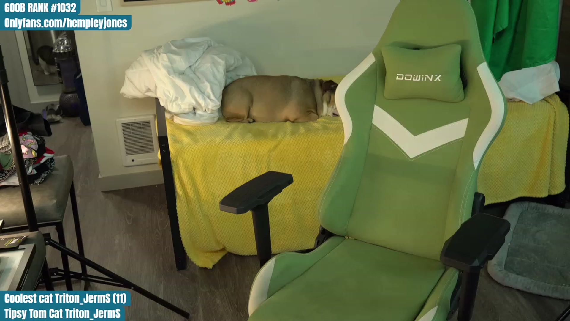 Gallery image thumbnail from Hempleyjones's myfreecams stream on, 08/04/2023, 24:02 image 1 of 20