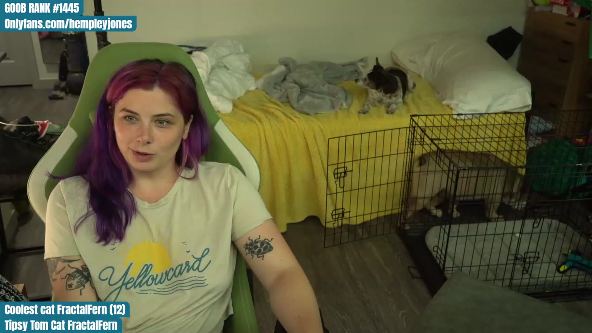 Gallery image thumbnail from Hempleyjones's myfreecams stream on, 08/06/2023, 01:06 image 2 of 20