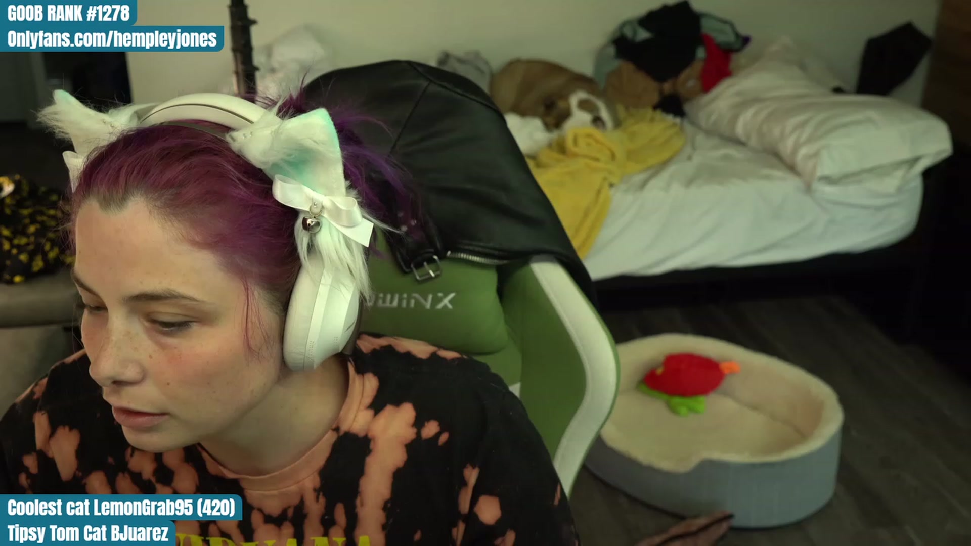 Gallery image thumbnail from Hempleyjones's myfreecams stream on, 08/07/2023, 23:59 image 18 of 20
