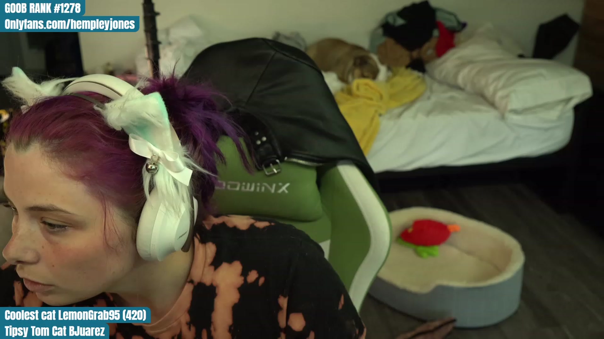 Gallery image thumbnail from Hempleyjones's myfreecams stream on, 08/07/2023, 23:59 image 16 of 20