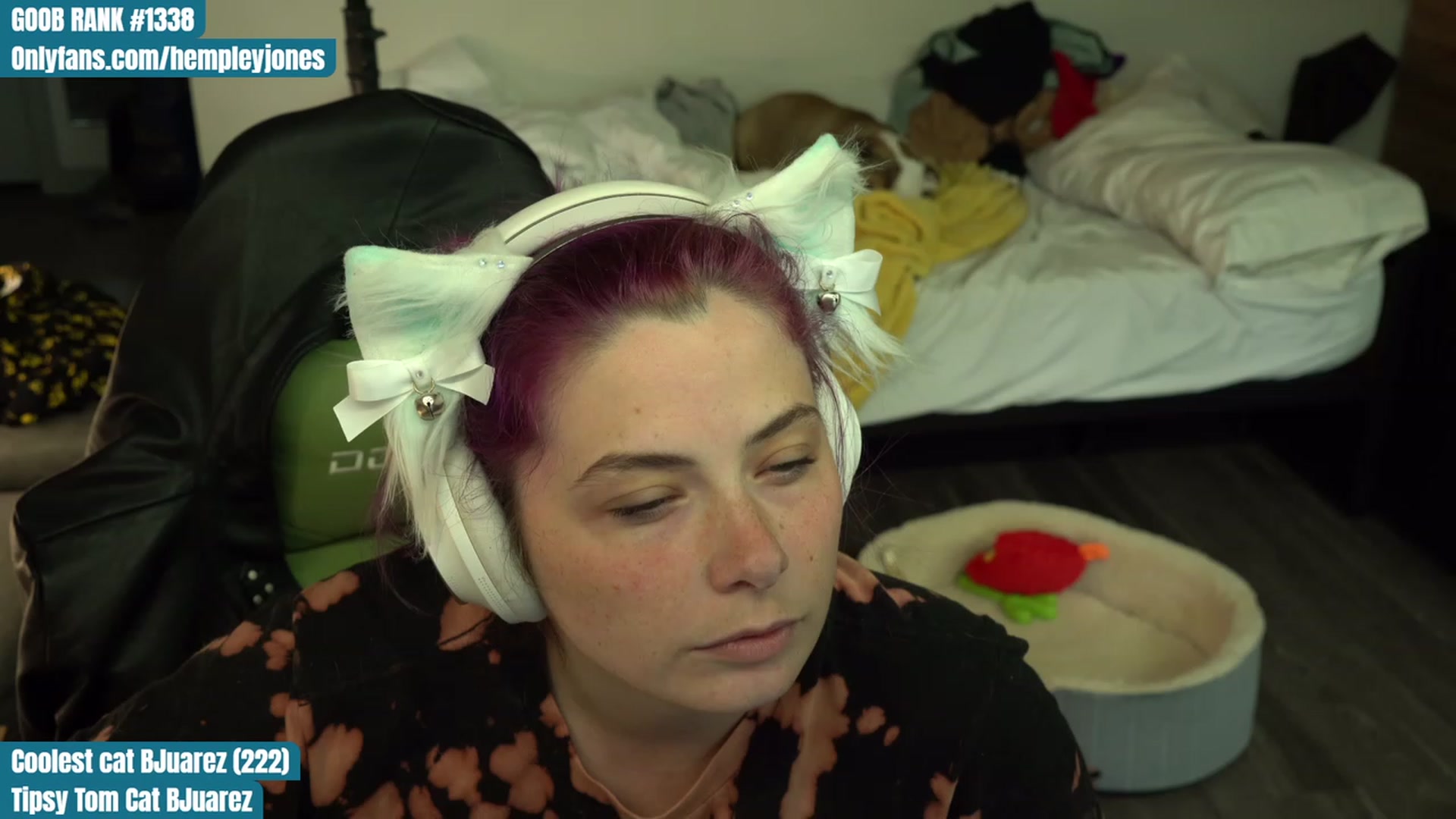Gallery image thumbnail from Hempleyjones's myfreecams stream on, 08/07/2023, 23:59 image 12 of 20