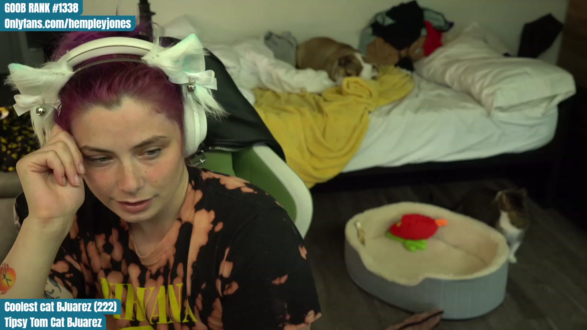 Gallery image thumbnail from Hempleyjones's myfreecams stream on, 08/07/2023, 23:59 image 11 of 20
