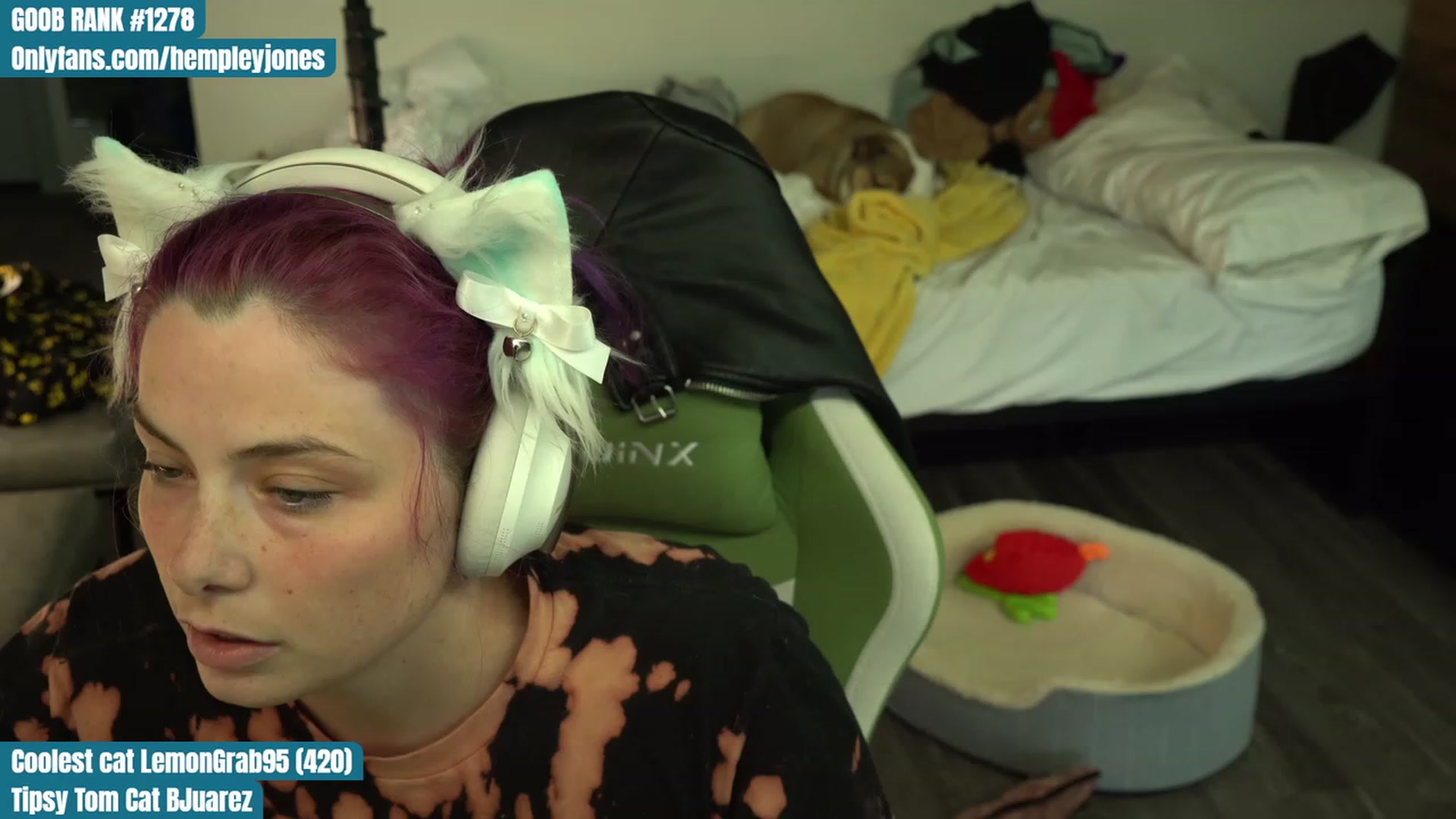 Gallery image thumbnail from Hempleyjones's myfreecams stream on, 08/07/2023, 23:59 image 17 of 20