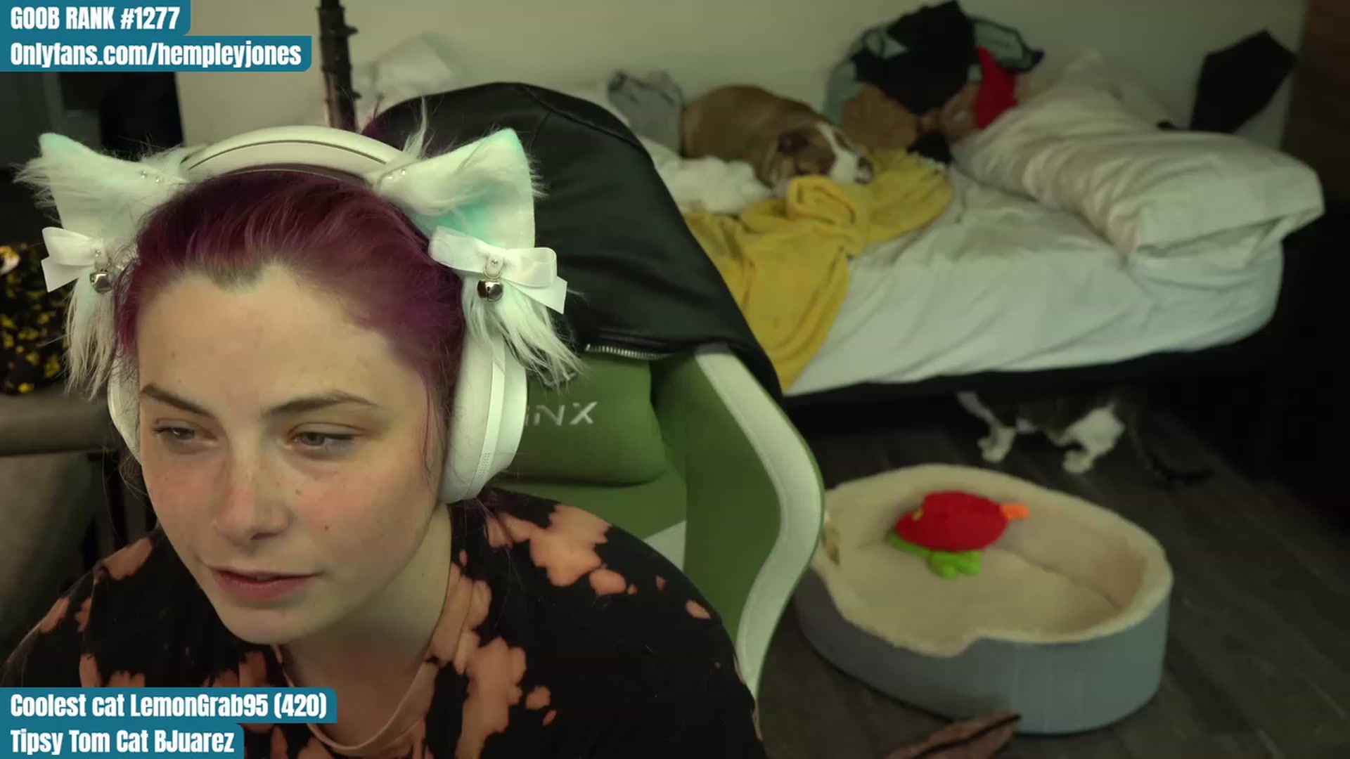 Gallery image thumbnail from Hempleyjones's myfreecams stream on, 08/07/2023, 23:59 image 14 of 20