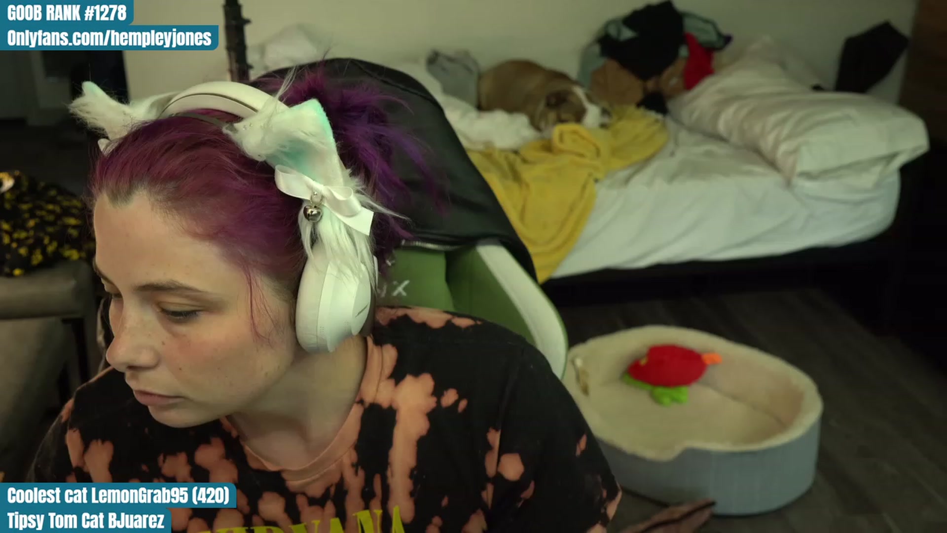 Gallery image thumbnail from Hempleyjones's myfreecams stream on, 08/07/2023, 23:59 image 15 of 20