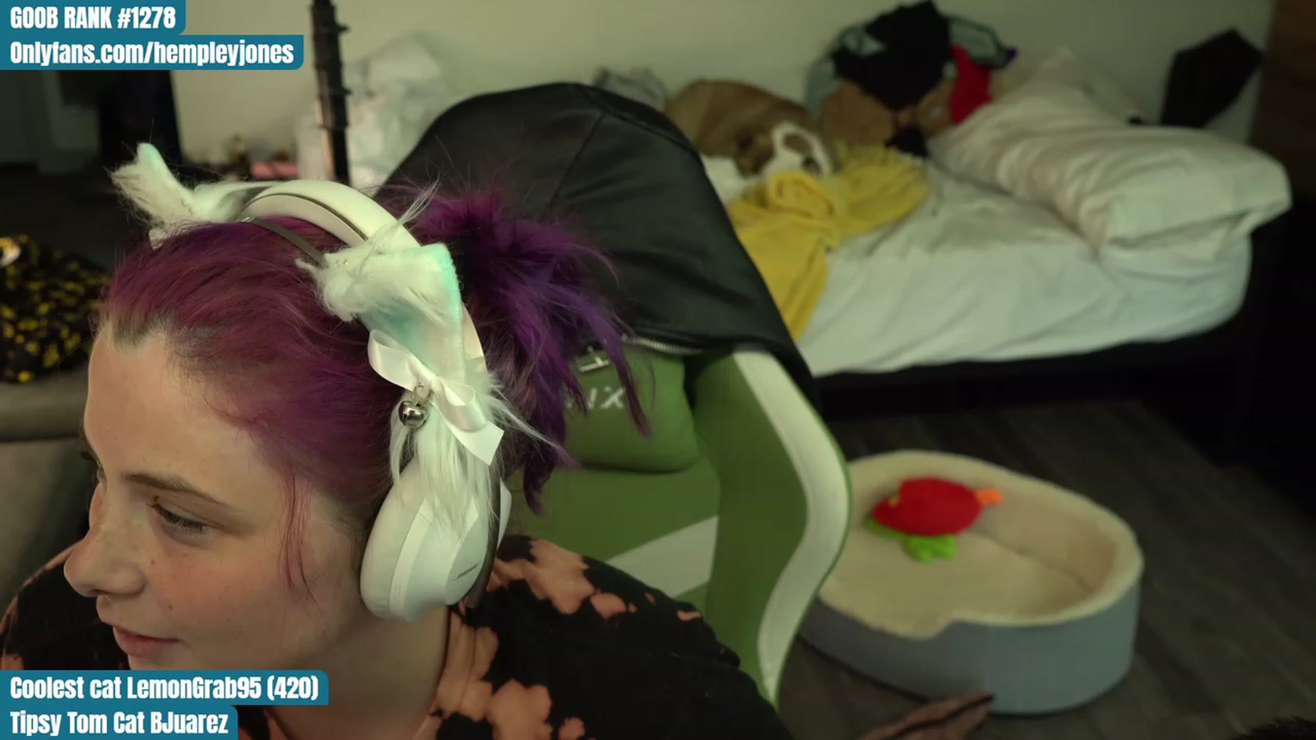 Gallery image thumbnail from Hempleyjones's myfreecams stream on, 08/07/2023, 23:59 image 19 of 20