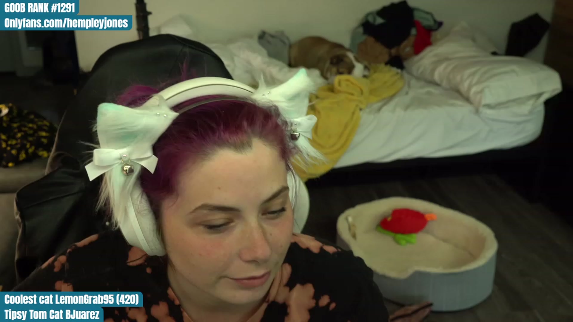Gallery image thumbnail from Hempleyjones's myfreecams stream on, 08/07/2023, 23:59 image 13 of 20