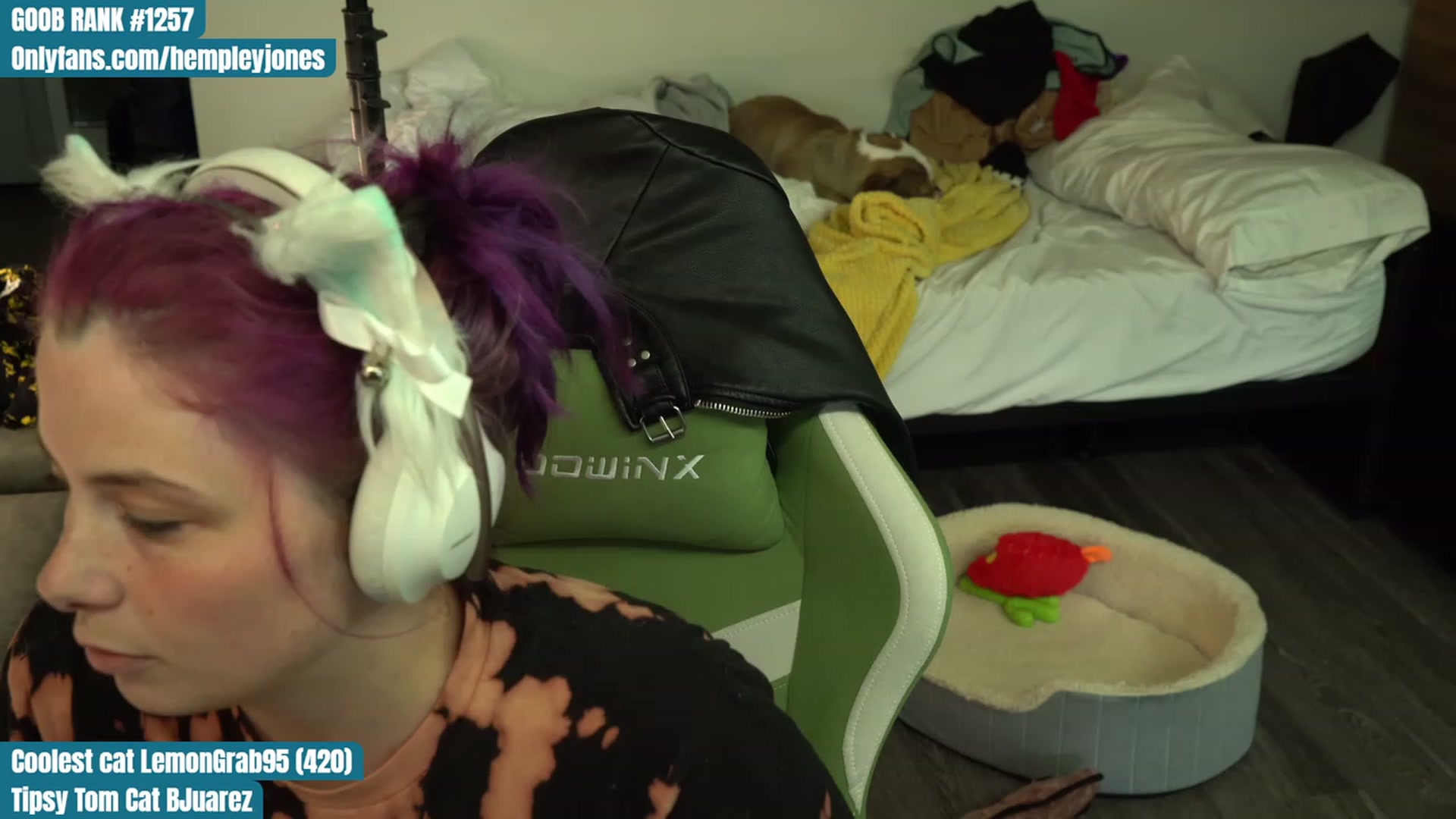 Gallery image thumbnail from Hempleyjones's myfreecams stream on, 08/08/2023, 01:31 image 1 of 20