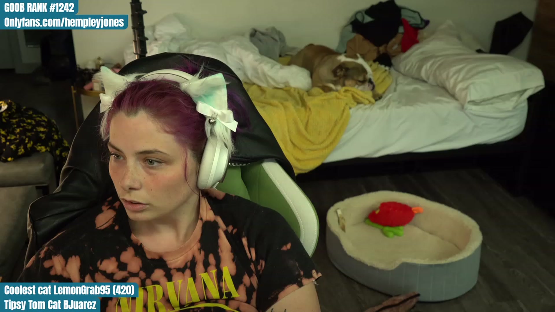 Gallery image thumbnail from Hempleyjones's myfreecams stream on, 08/08/2023, 01:31 image 5 of 20