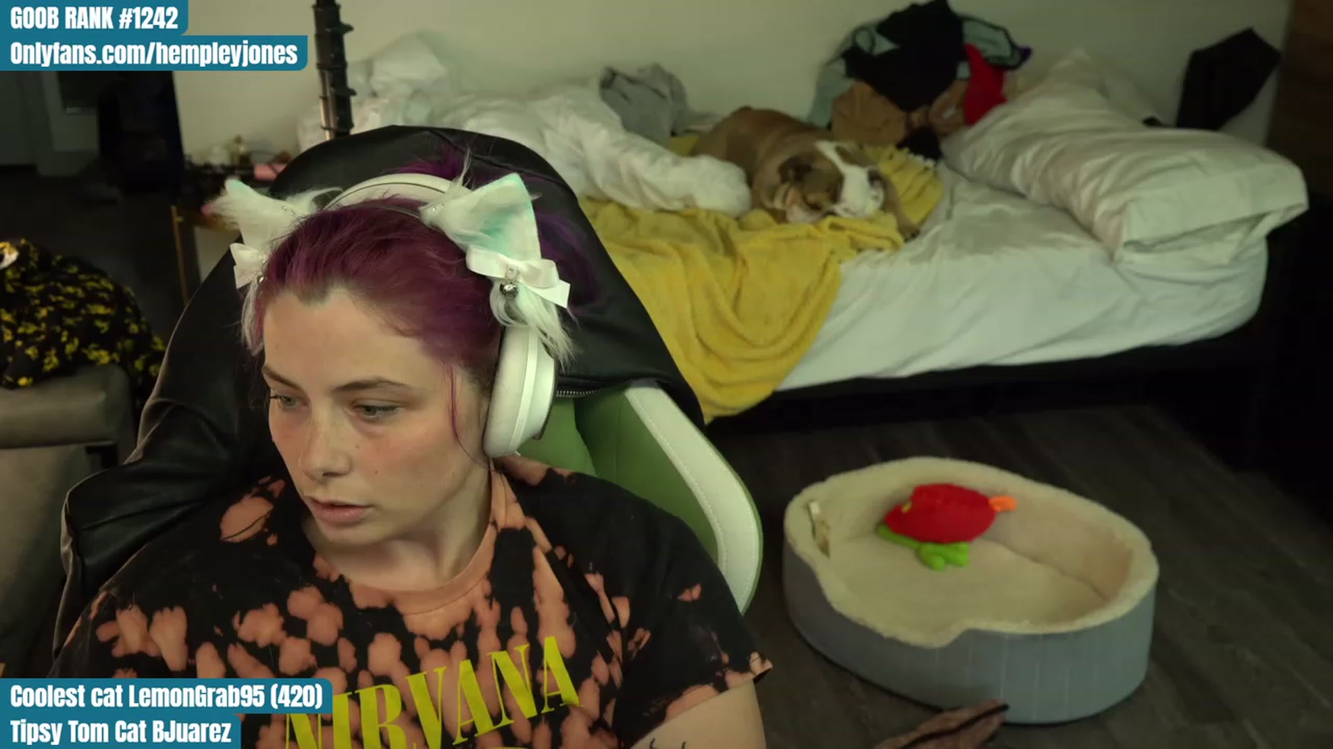 Gallery image thumbnail from Hempleyjones's myfreecams stream on, 08/08/2023, 01:31 image 8 of 20