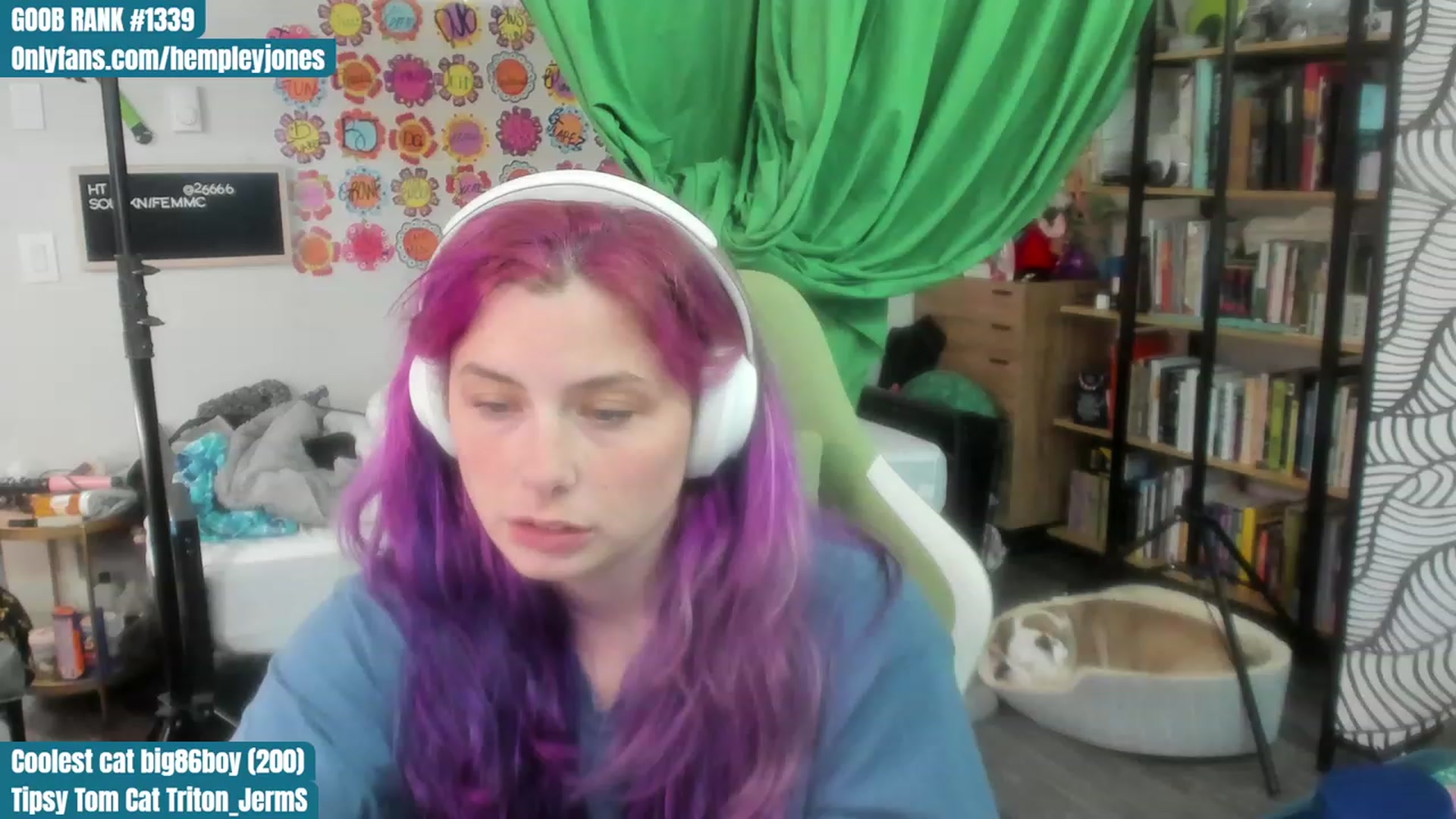 Gallery image thumbnail from Hempleyjones's myfreecams stream on, 08/11/2023, 21:48 image 19 of 20
