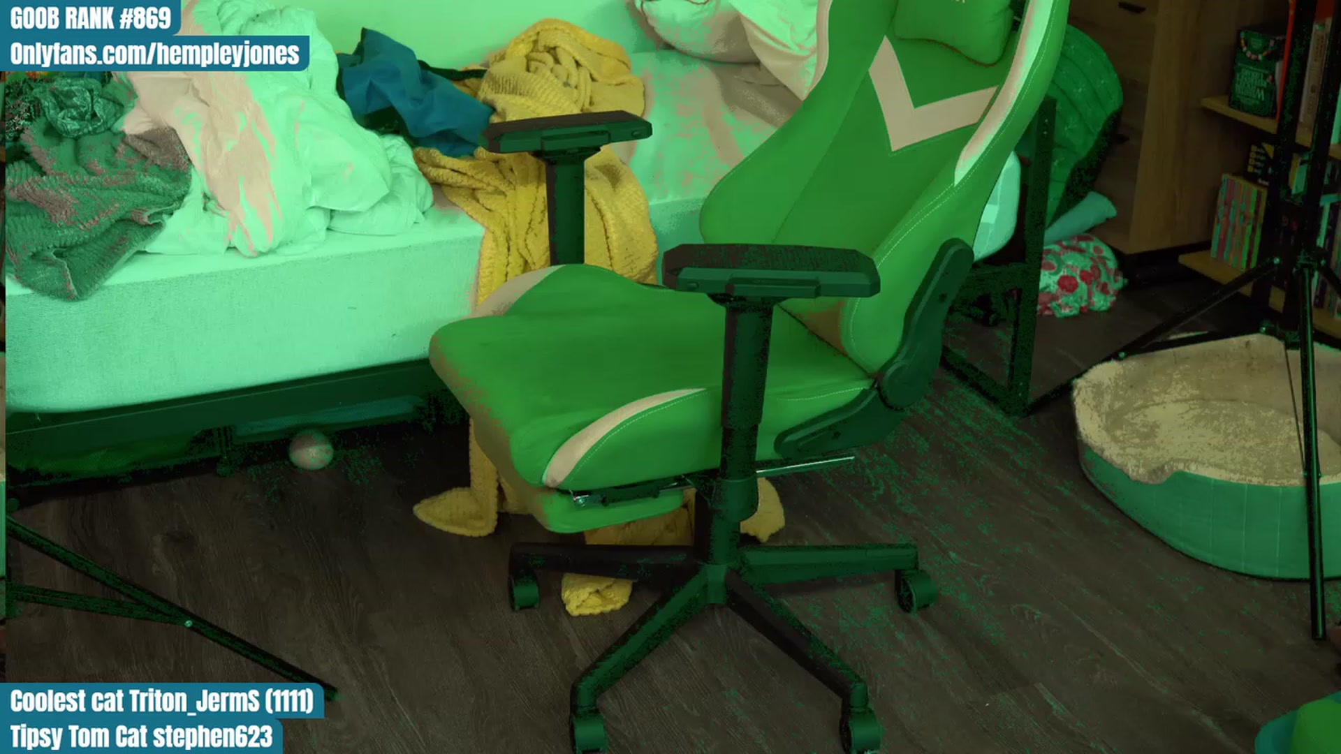Gallery image thumbnail from Hempleyjones's myfreecams stream on, 08/12/2023, 16:15 image 8 of 20