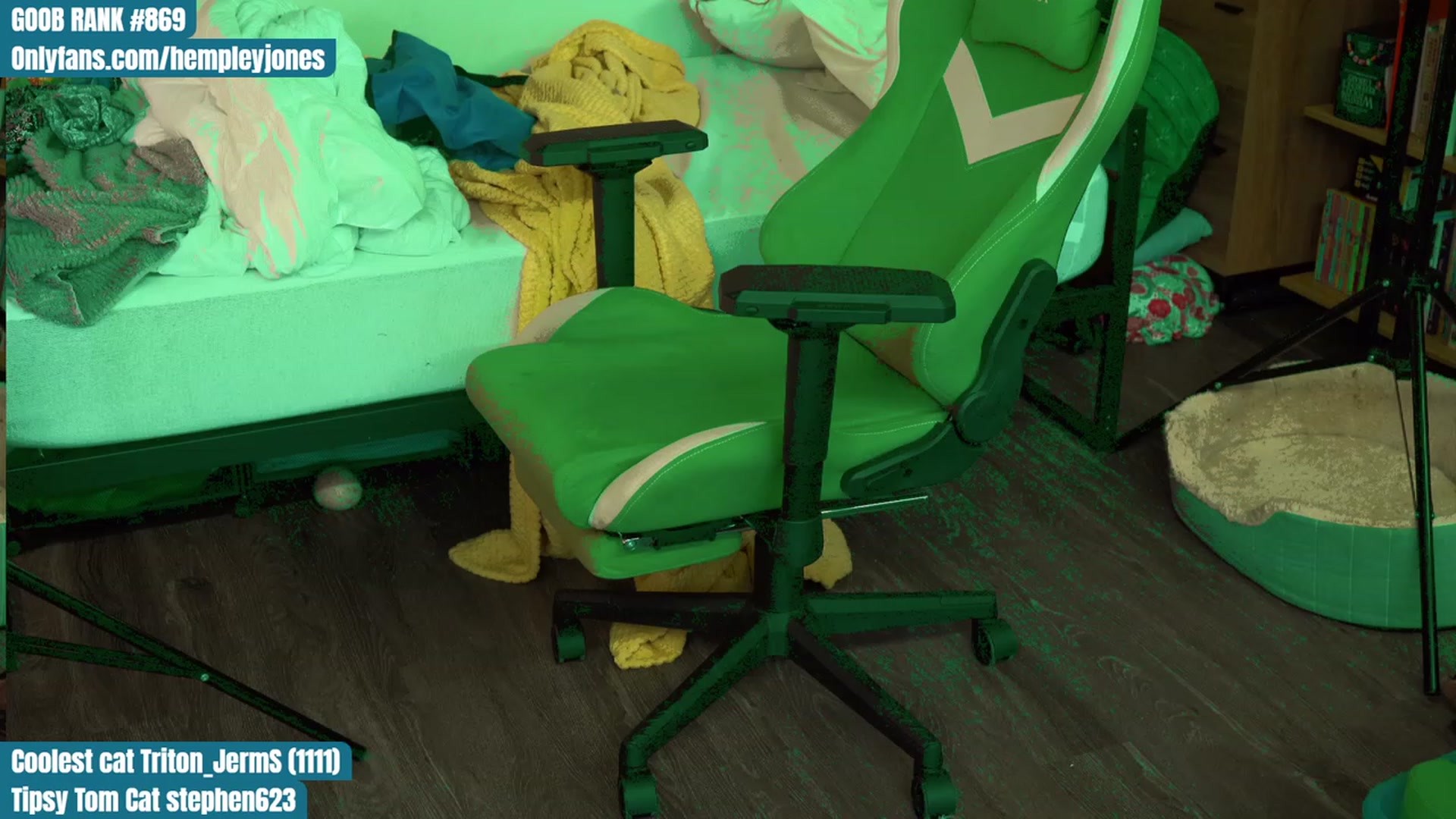 Gallery image thumbnail from Hempleyjones's myfreecams stream on, 08/12/2023, 16:15 image 9 of 20