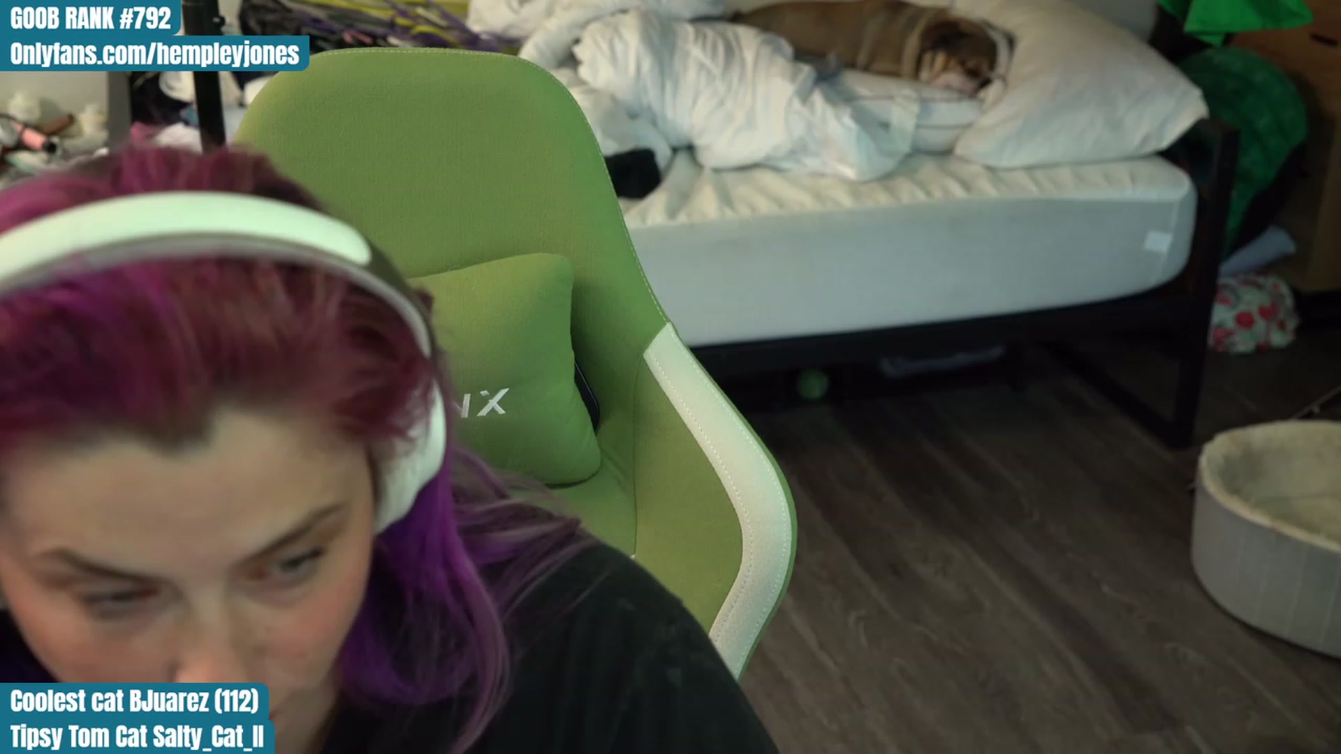 Gallery image thumbnail from Hempleyjones's myfreecams stream on, 08/14/2023, 01:24 image 4 of 20