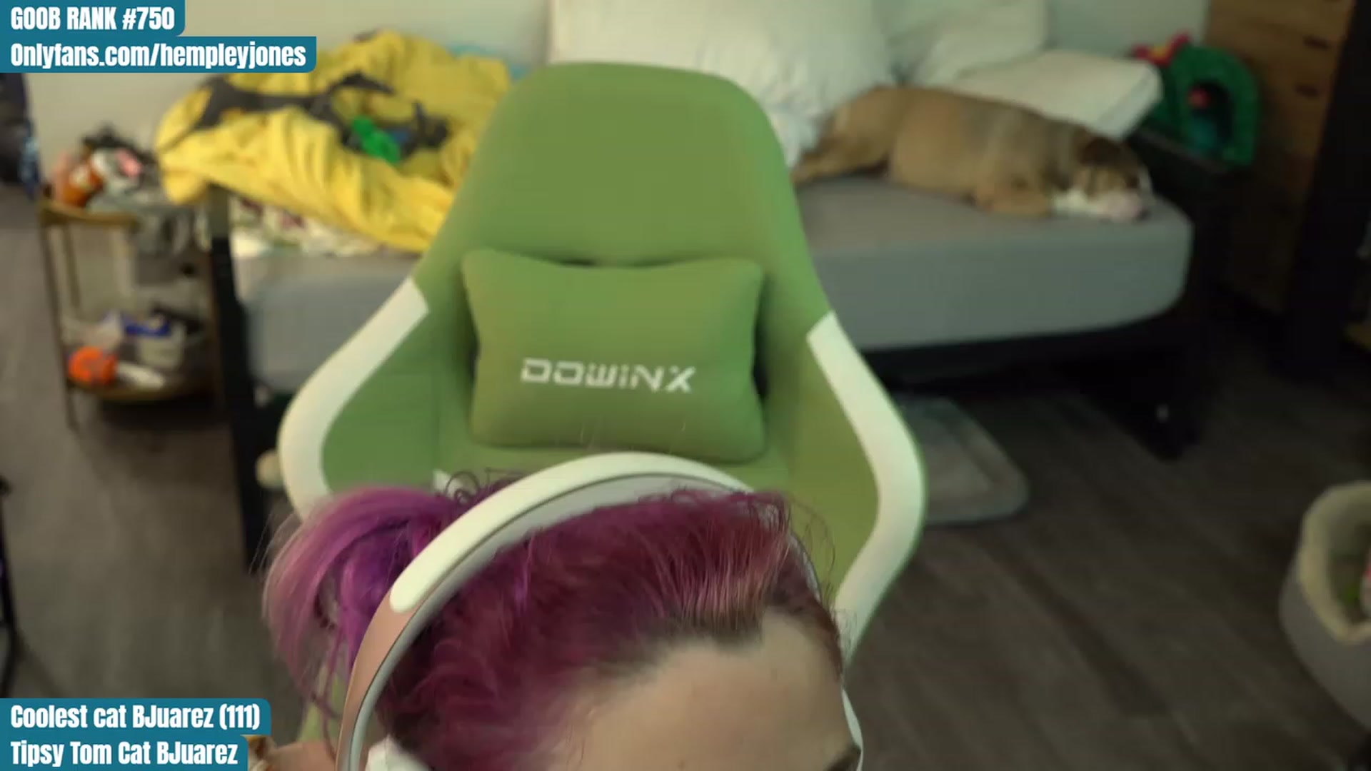 Gallery image thumbnail from Hempleyjones's myfreecams stream on, 08/15/2023, 02:13 image 17 of 20