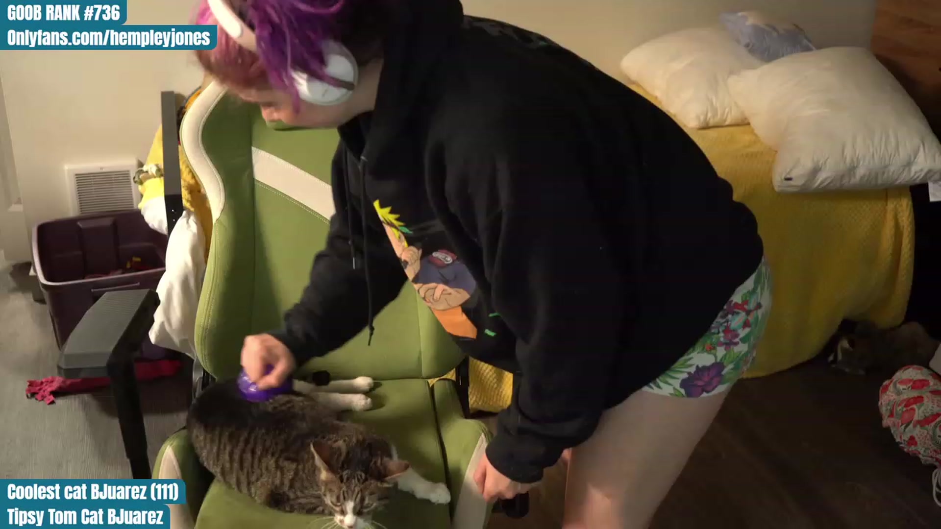 Gallery image thumbnail from Hempleyjones's myfreecams stream on, 08/23/2023, 23:56 image 9 of 20