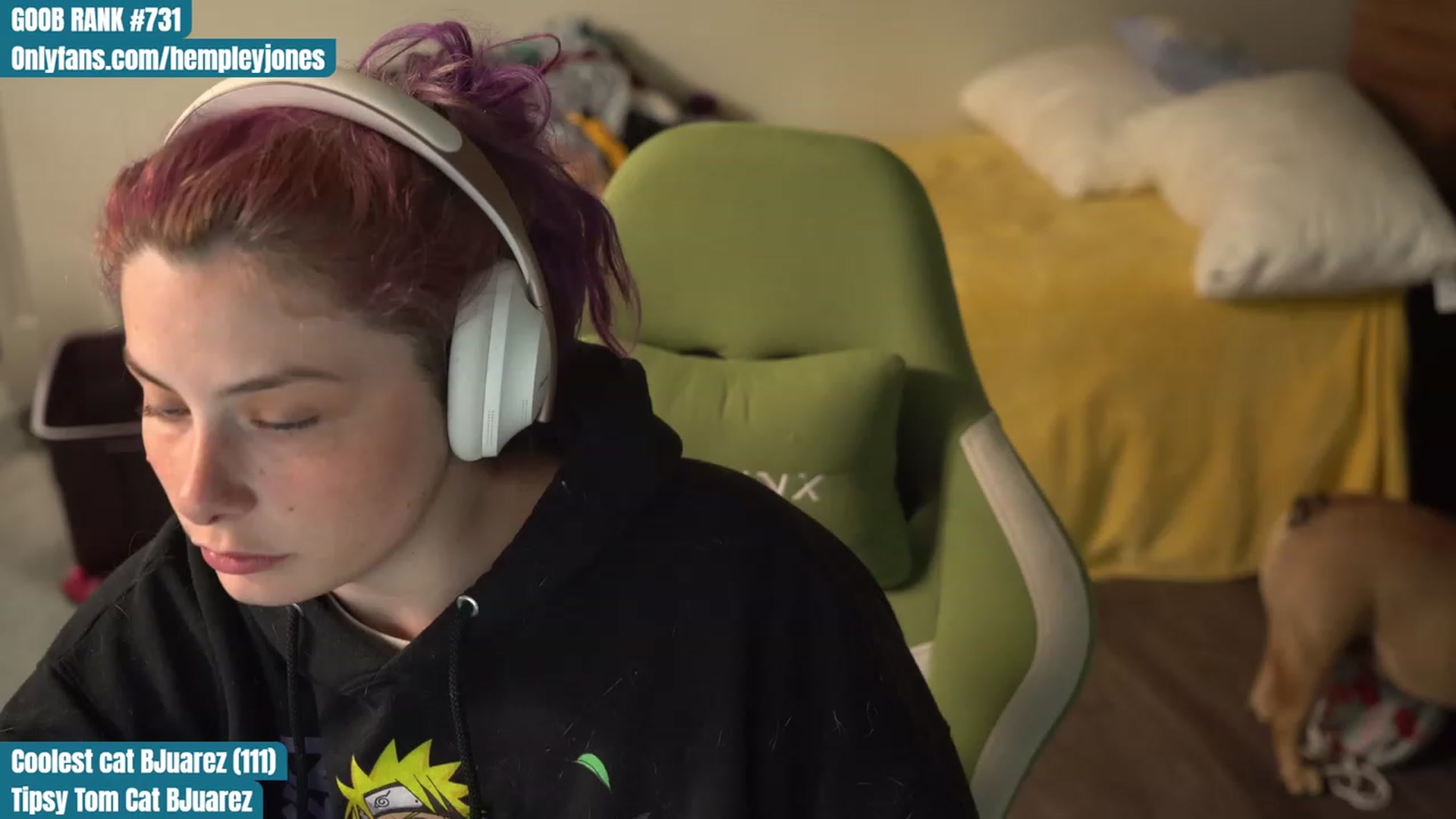 Gallery image thumbnail from Hempleyjones's myfreecams stream on, 08/23/2023, 23:56 image 19 of 20